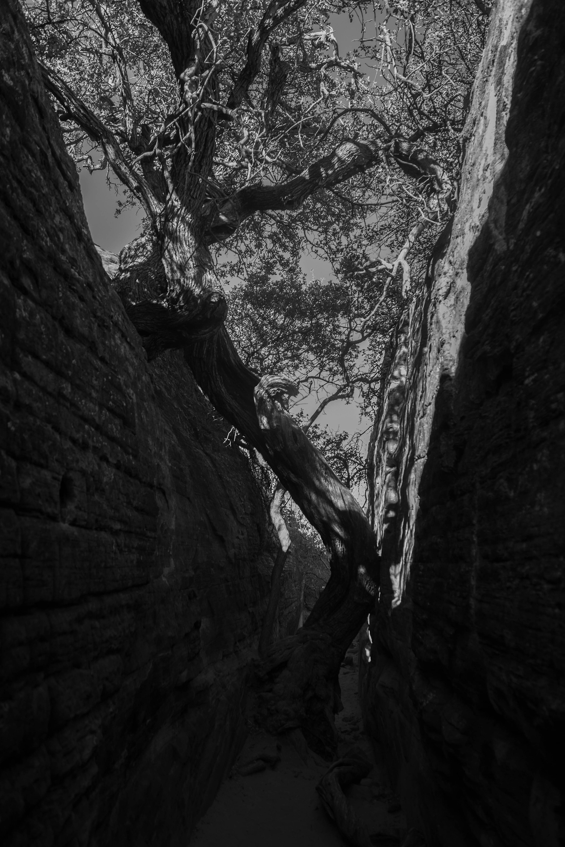 Slot Canyon | Utah 2018