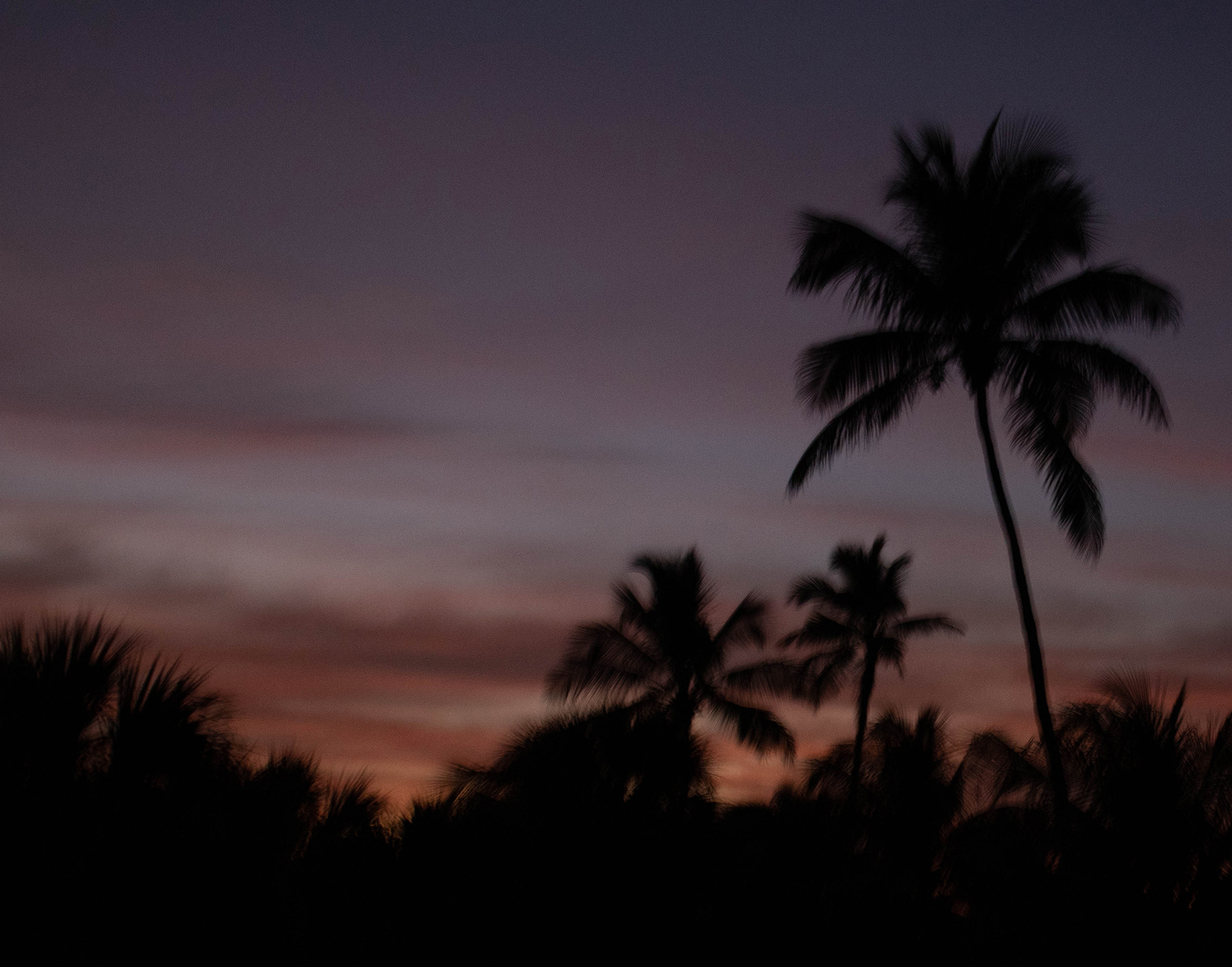 Miami Sunset Hues | Fall 2019