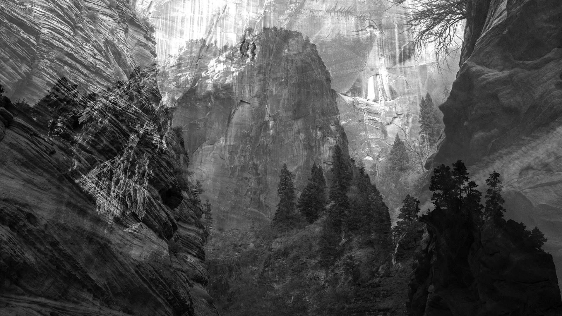 Zion Overlay | 2018