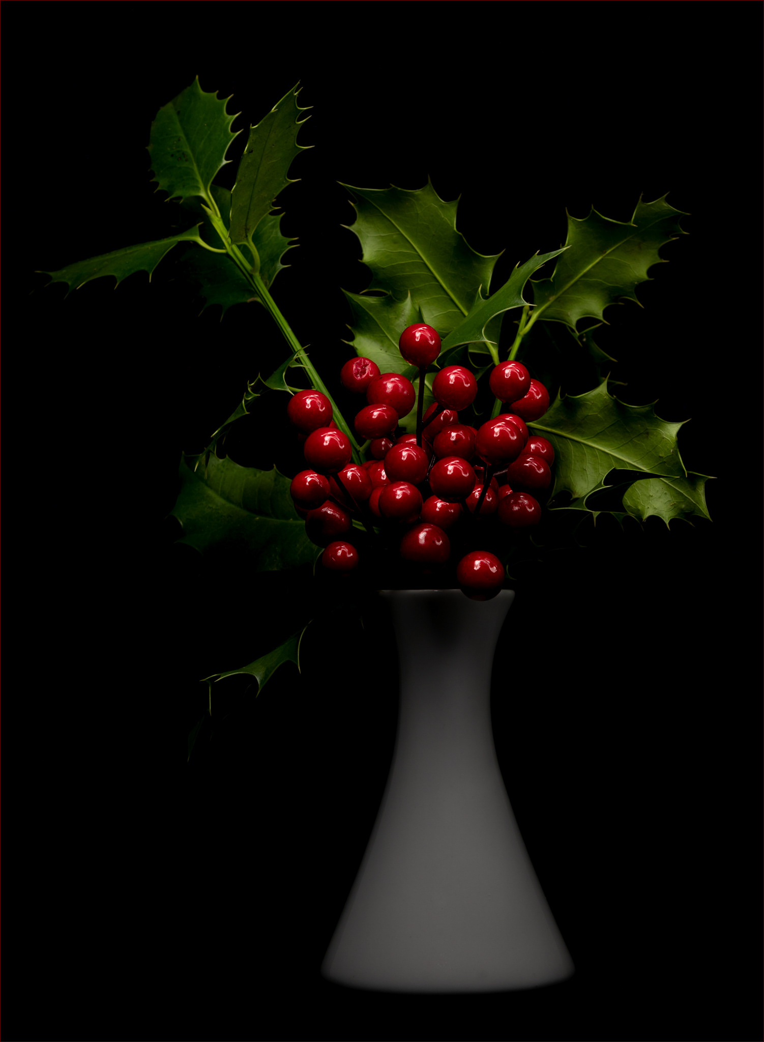 Holly