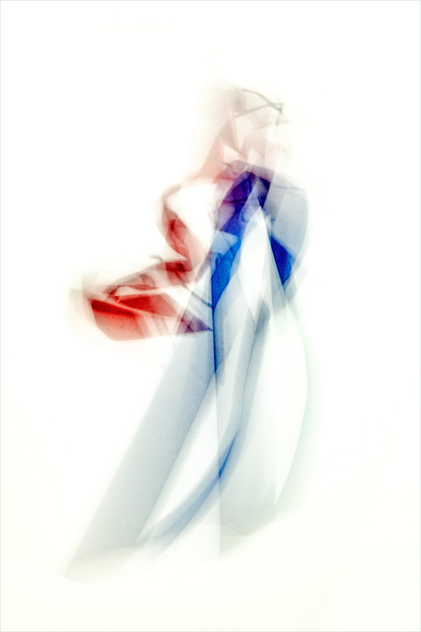 A picture of elegance