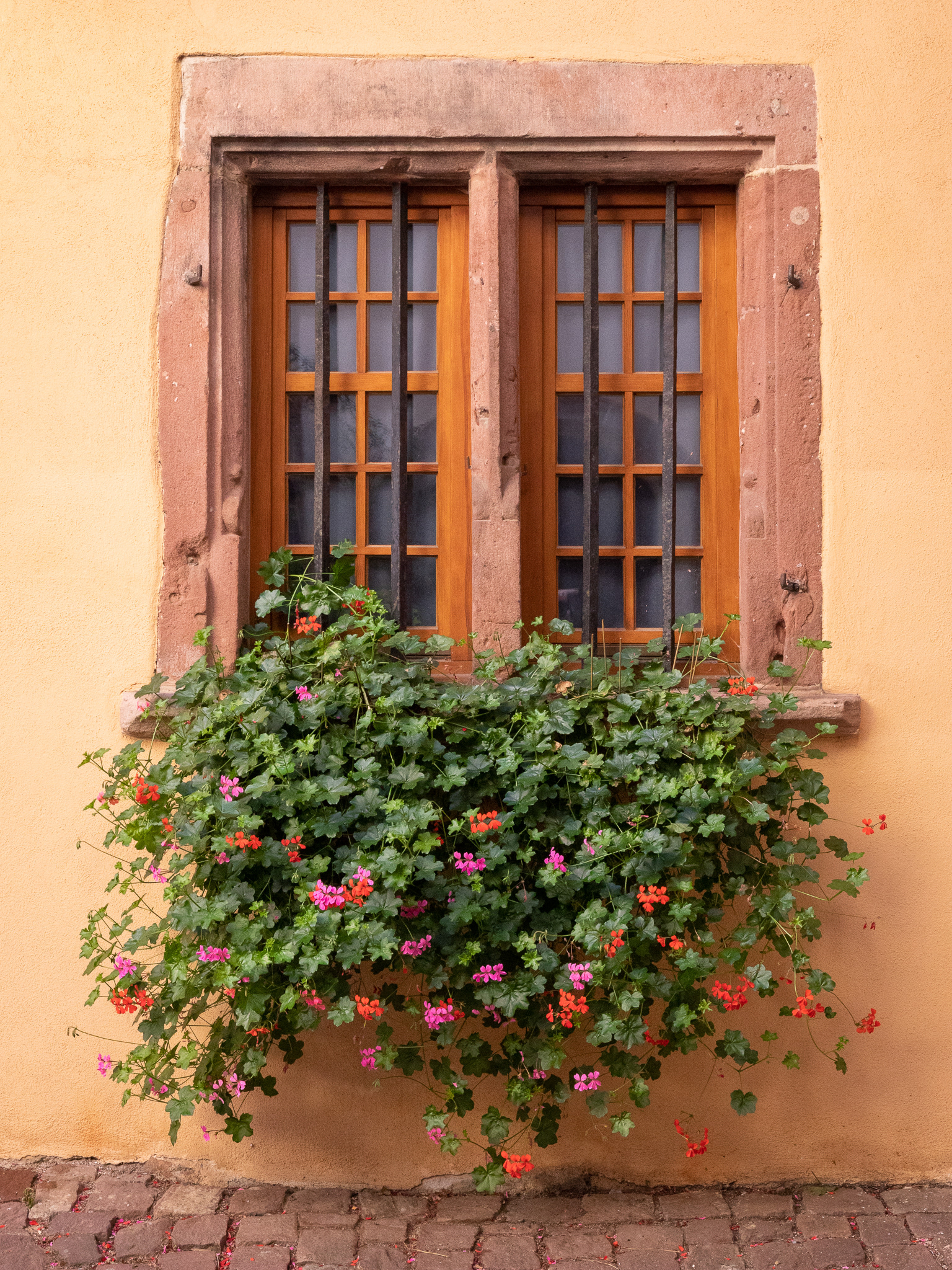 Riquewihr