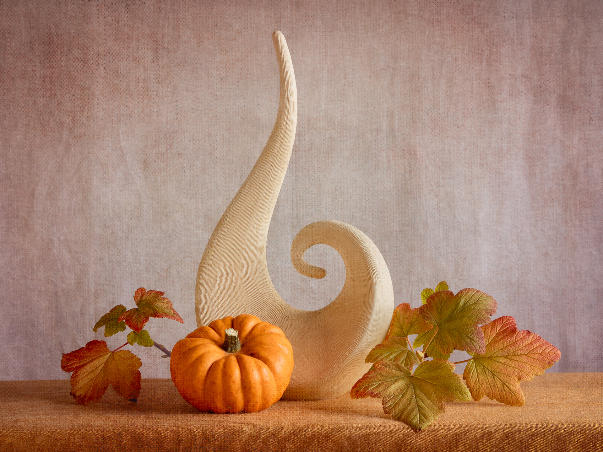 Still life with pumpkin