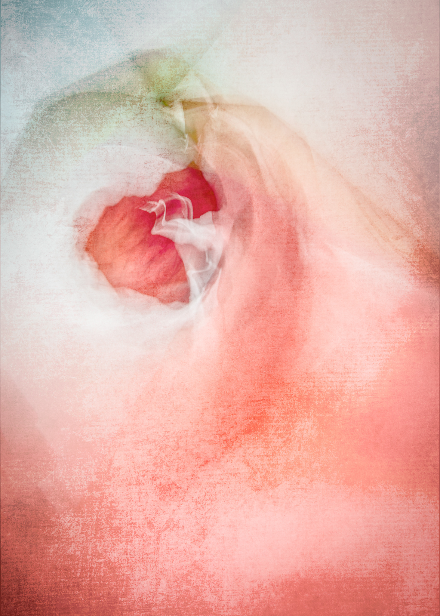Embrace