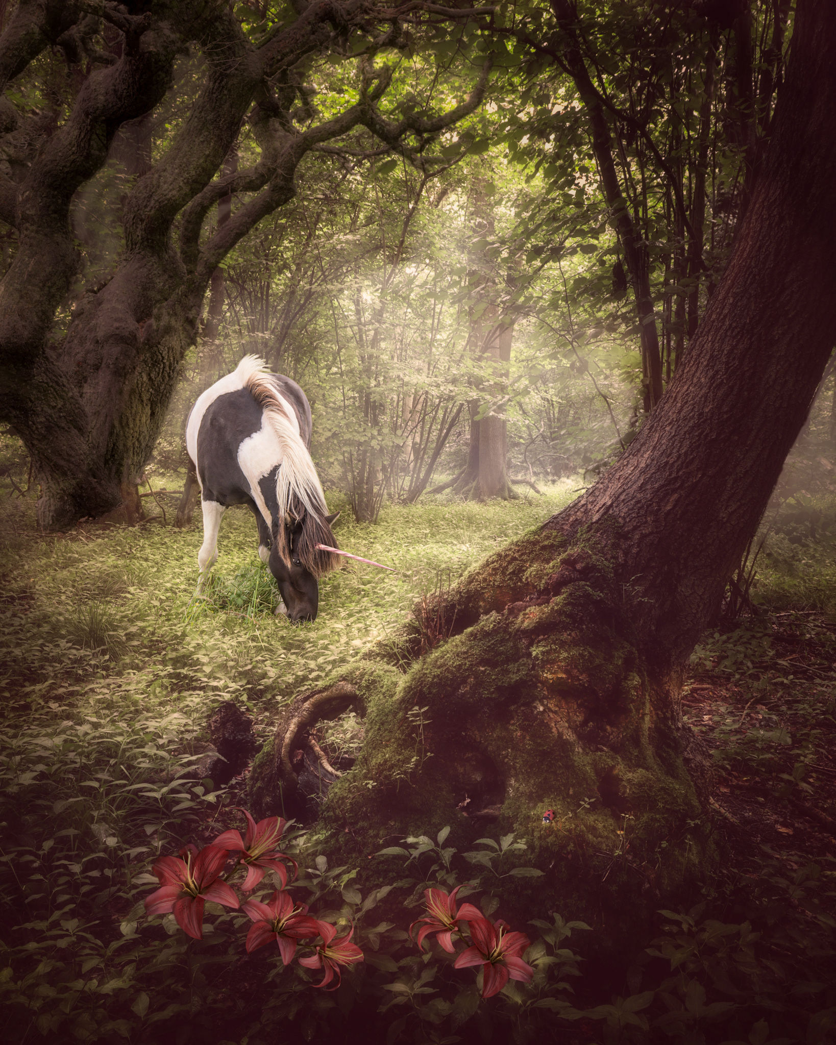 Not all unicorns are white