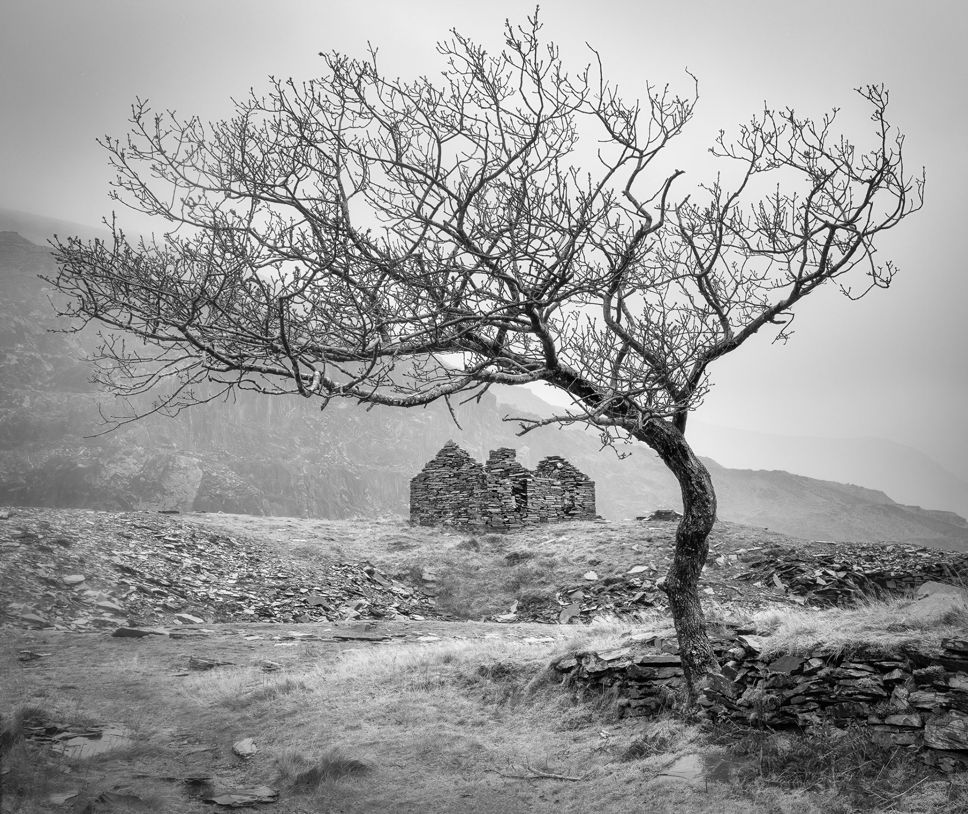 Abandoned