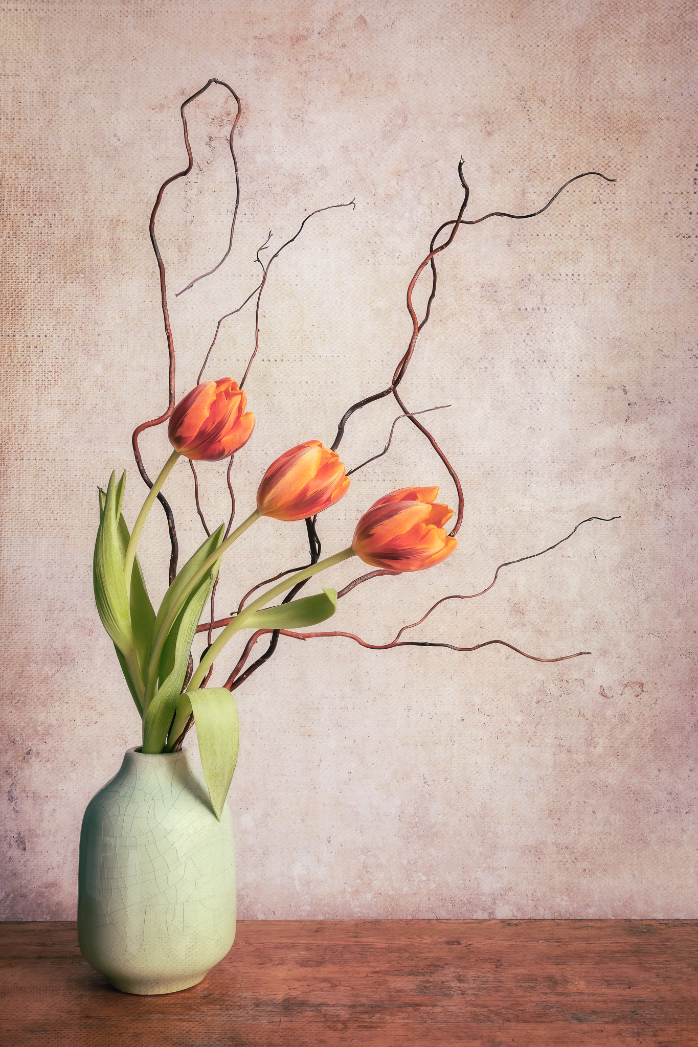 Tulips