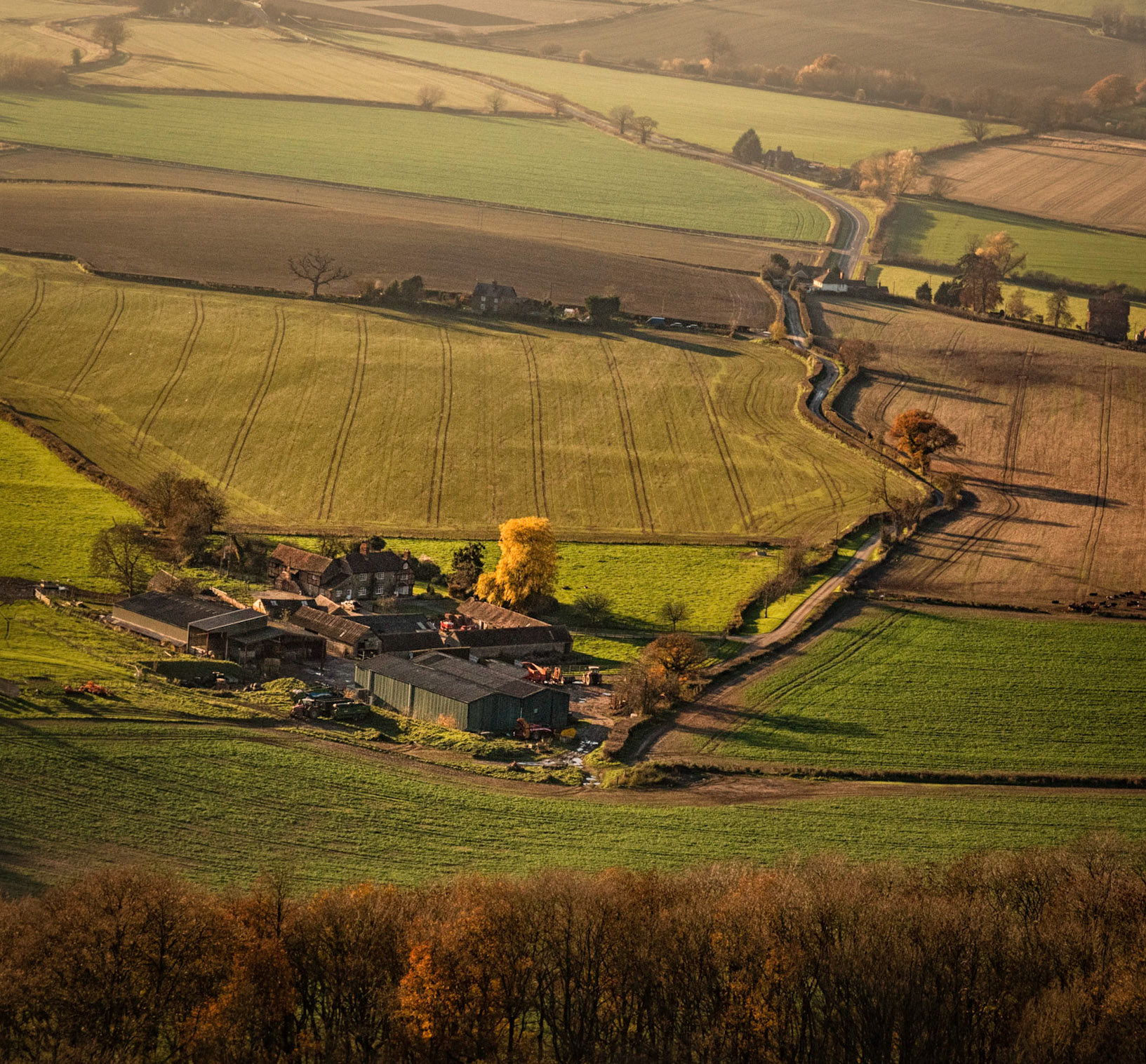 Ridgeway Farm