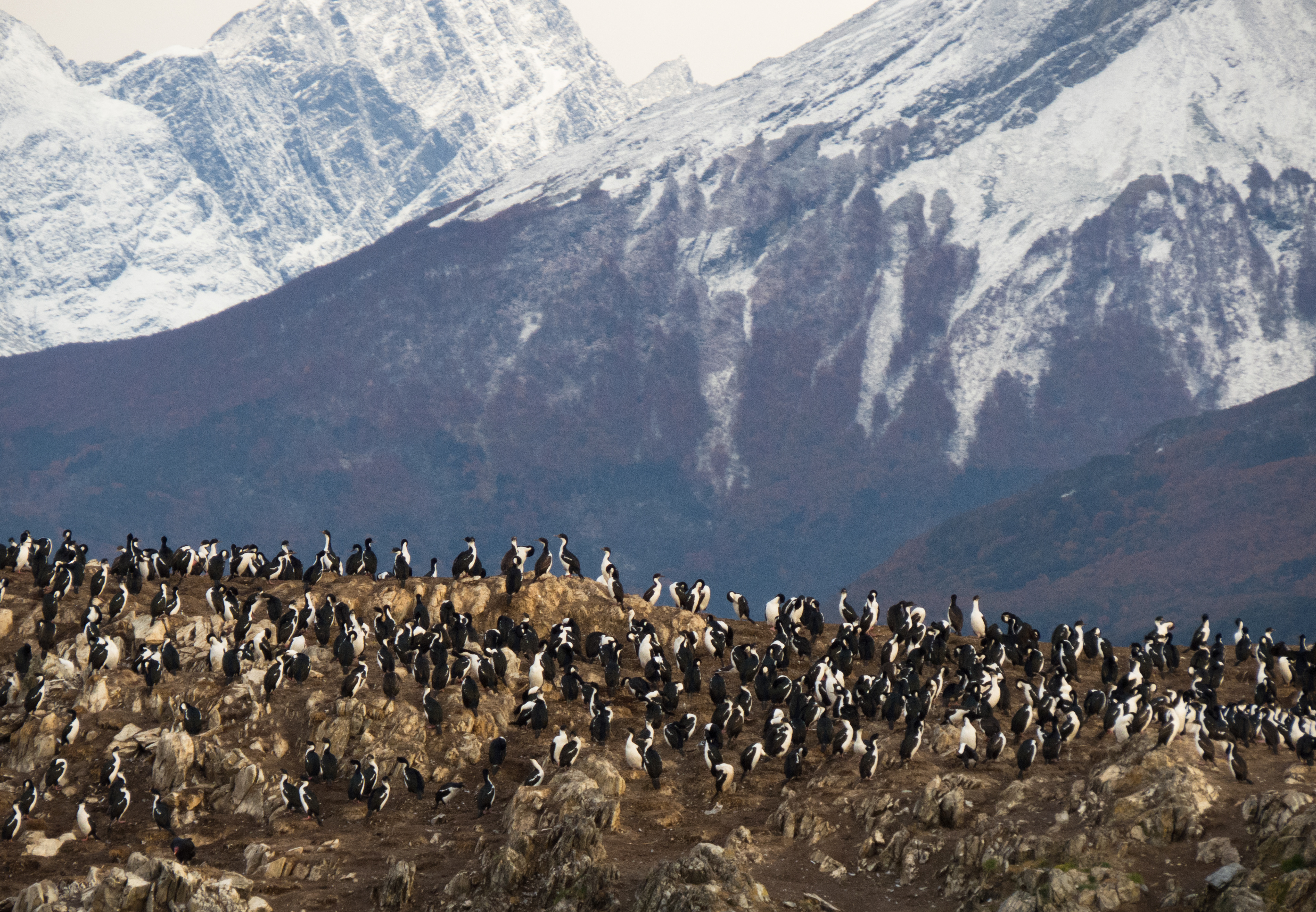 Marina DV Greco - Ushuaia