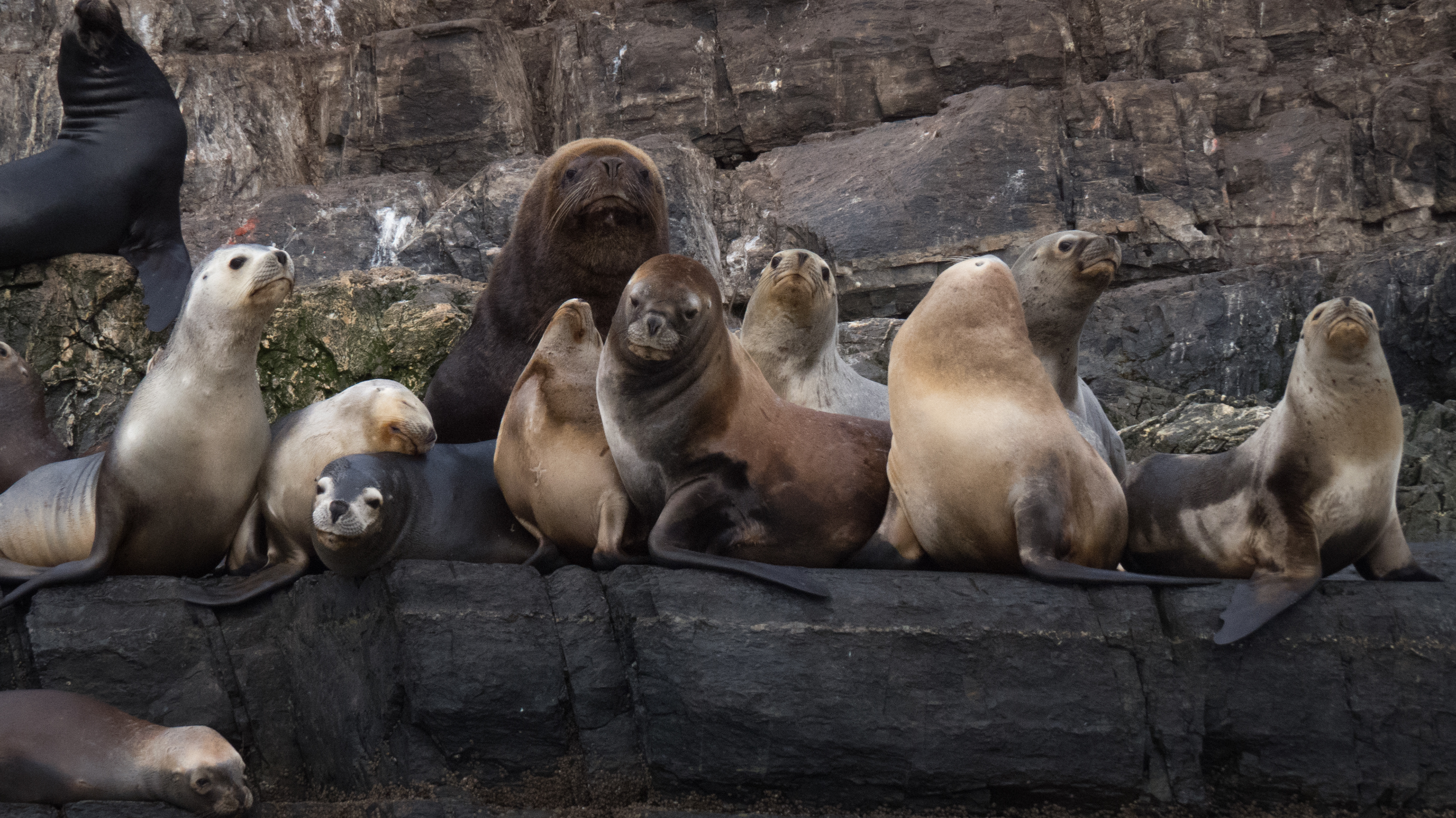 Marina DV Greco - Ushuaia