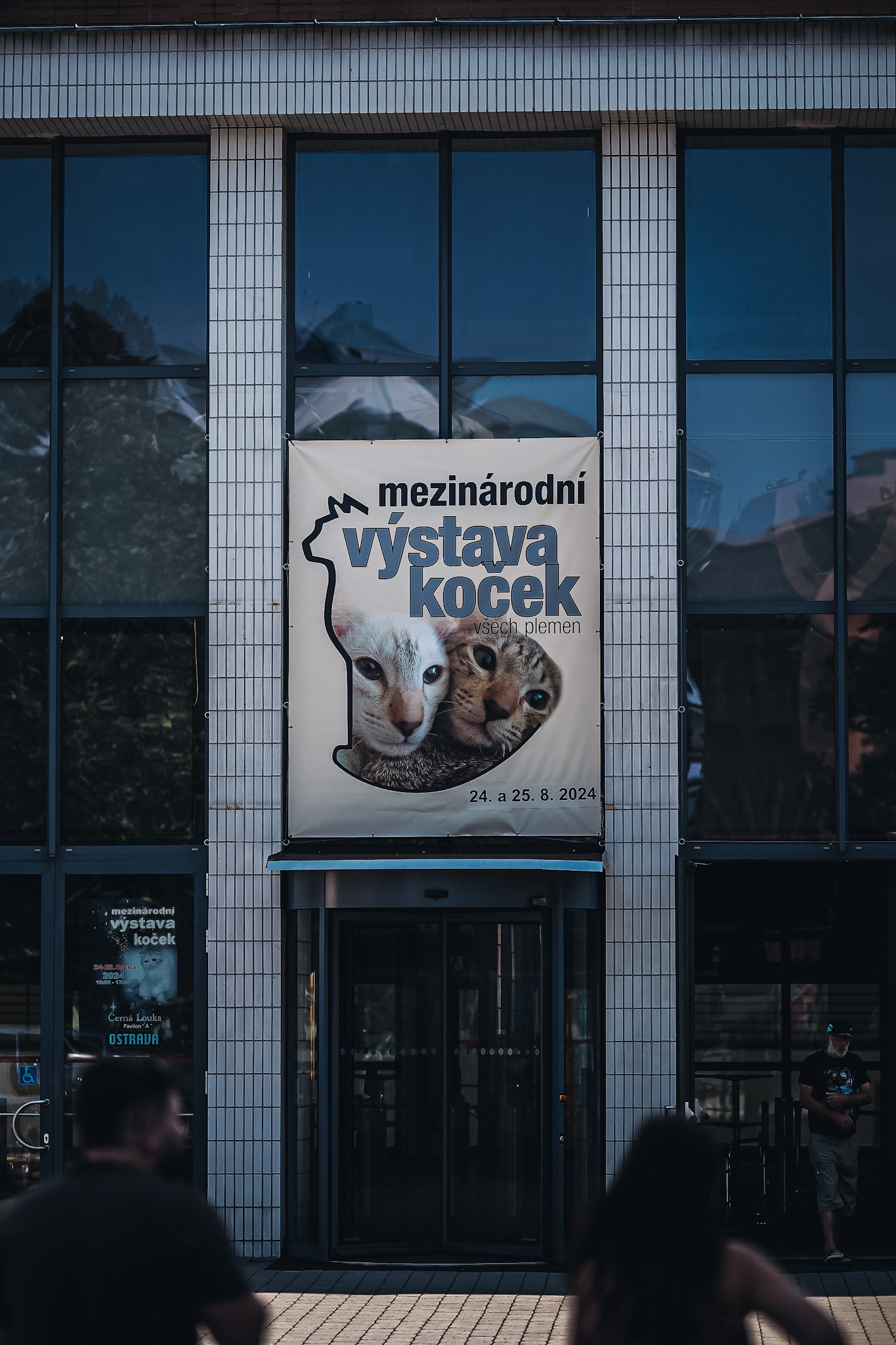 Mezinárodní výstava koček 