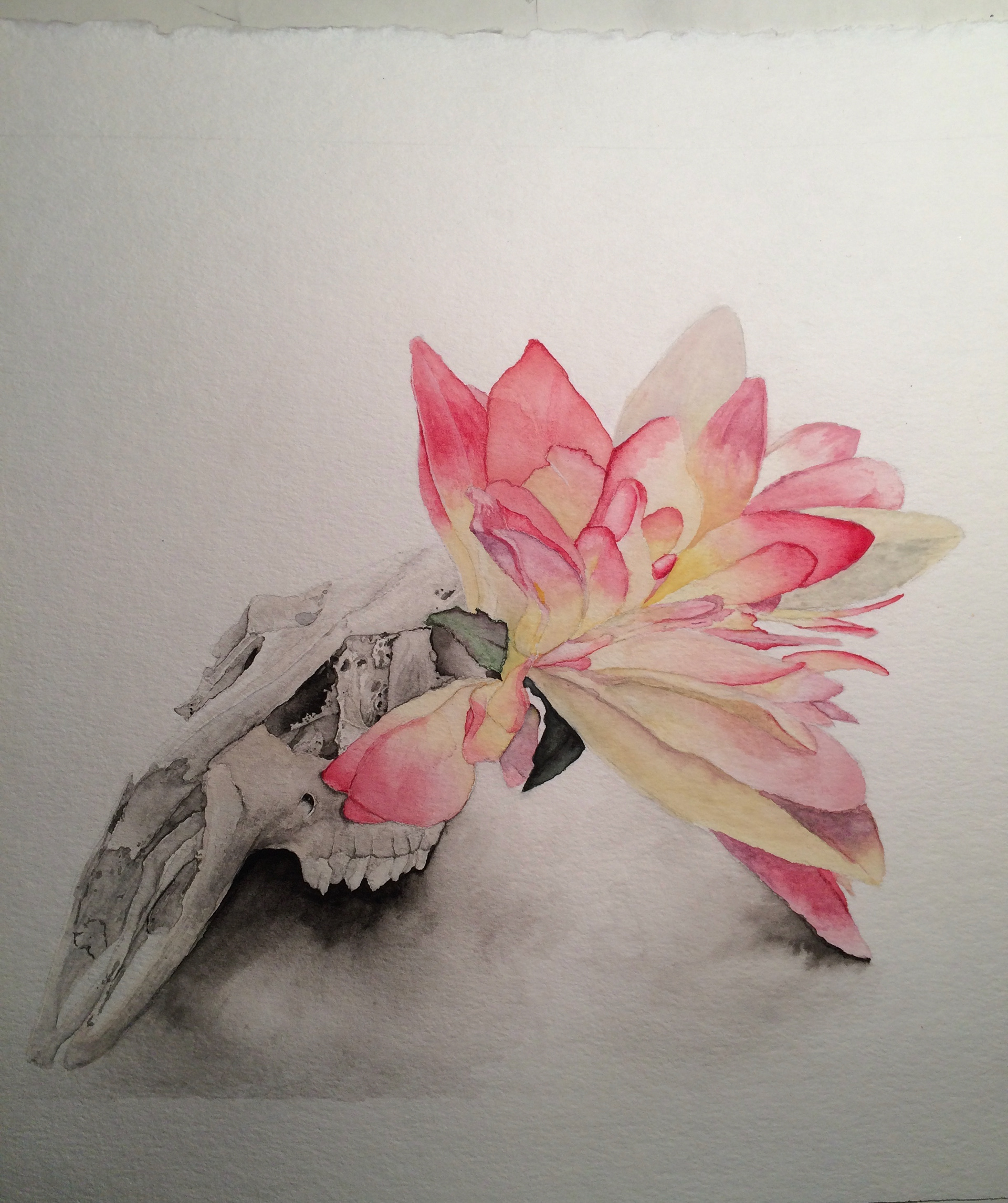 watercolor