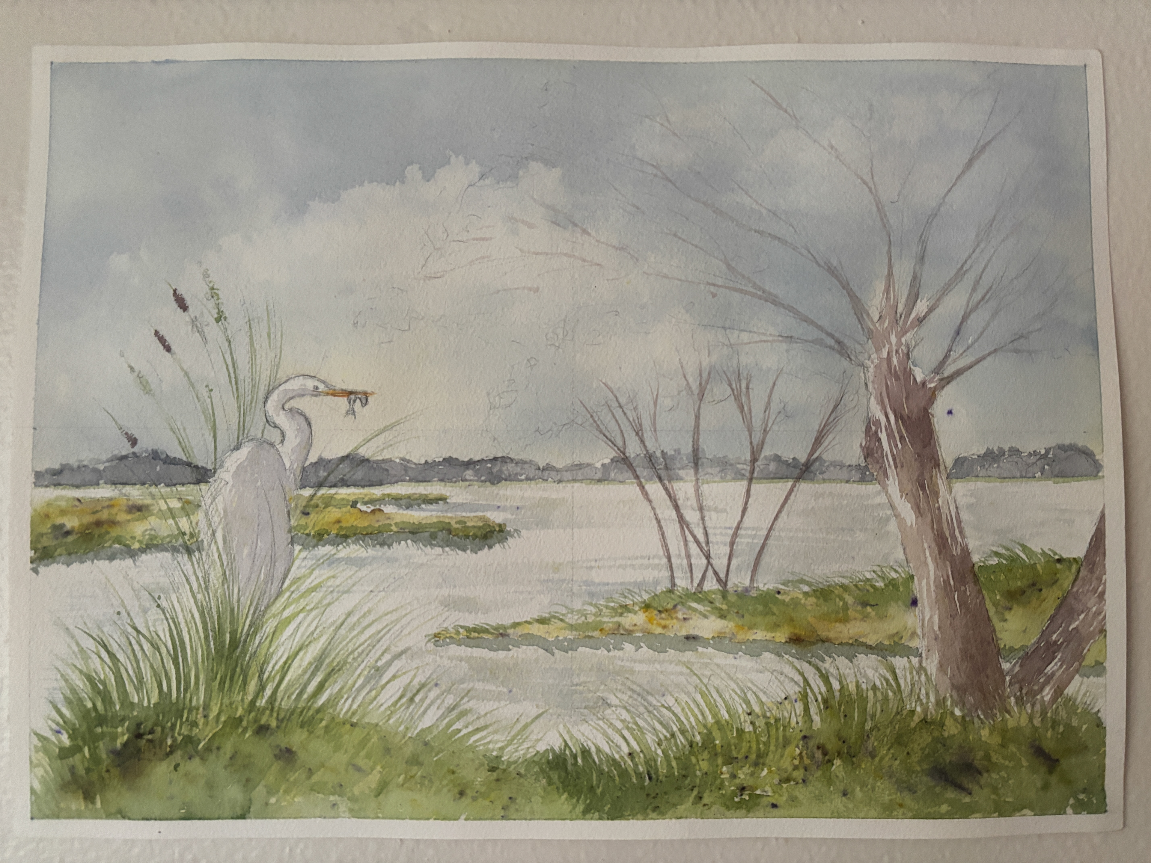 tidal marsh watercolor v02