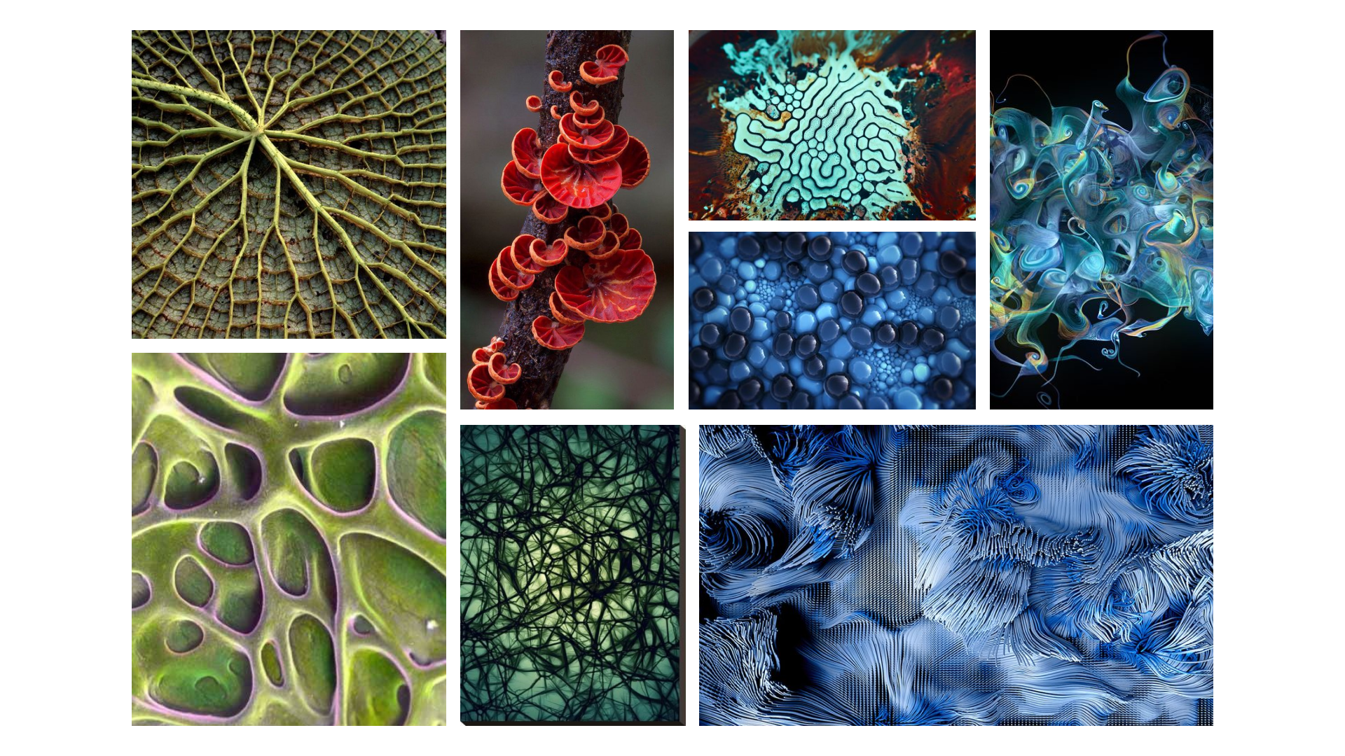 organic moodboard