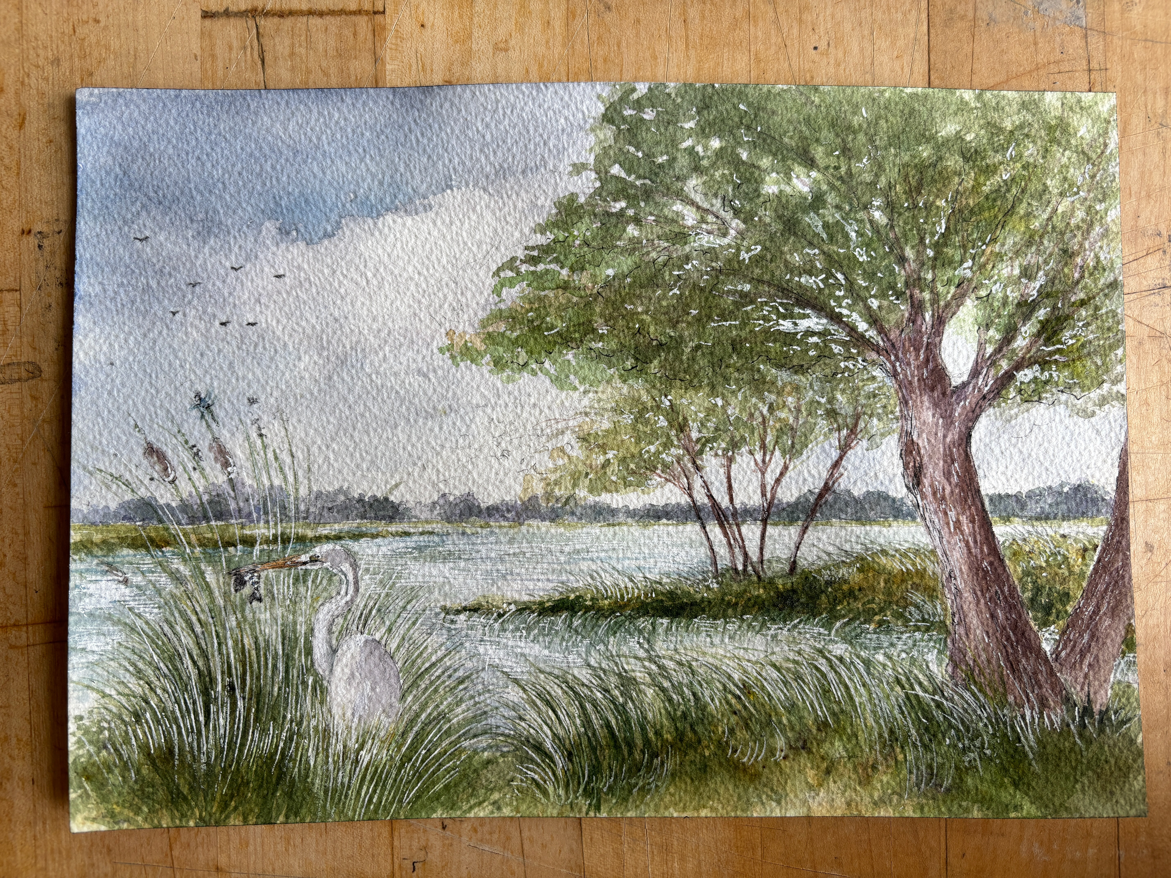 tidal marsh watercolor v01