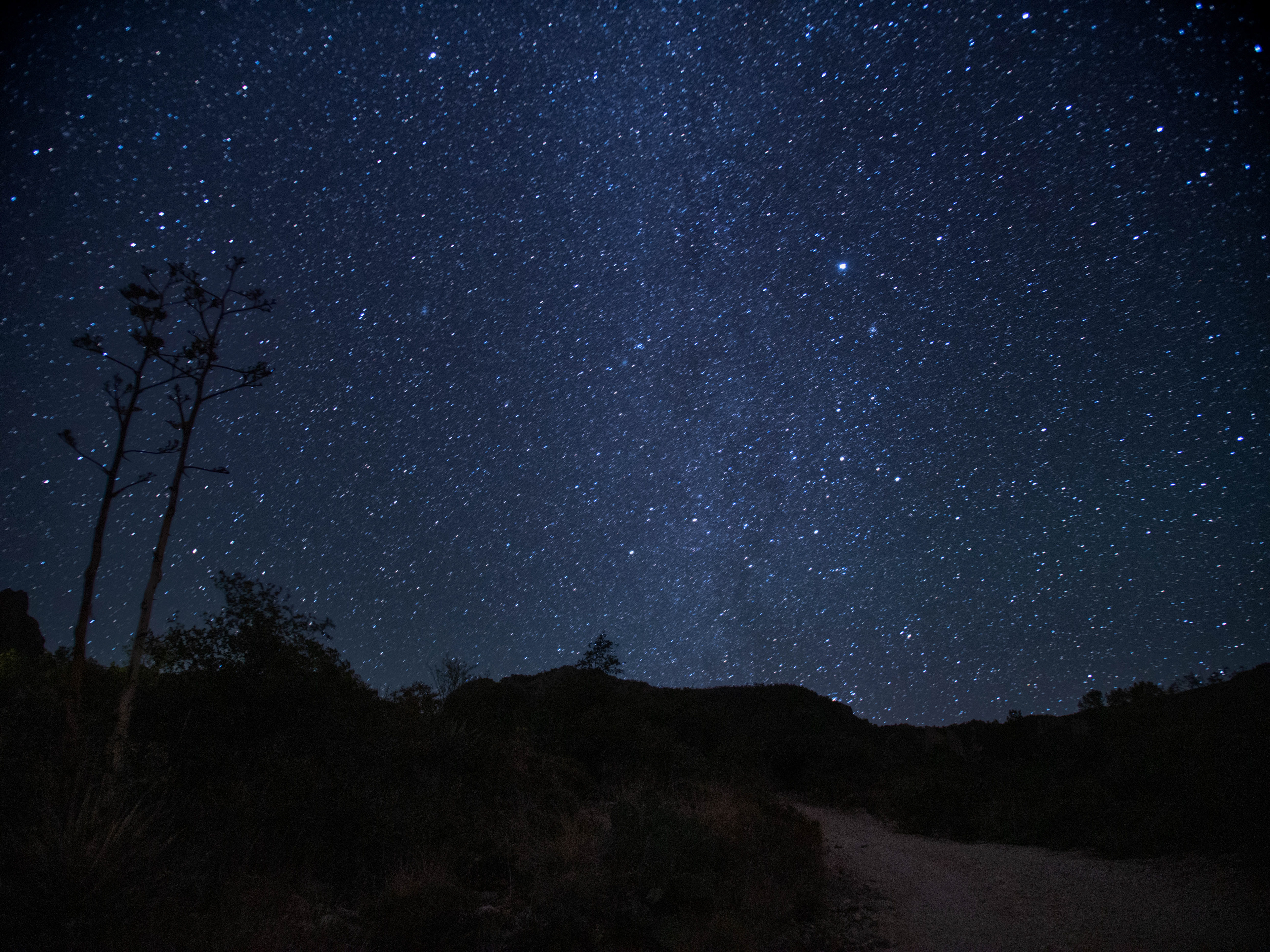 Big Bend National Park