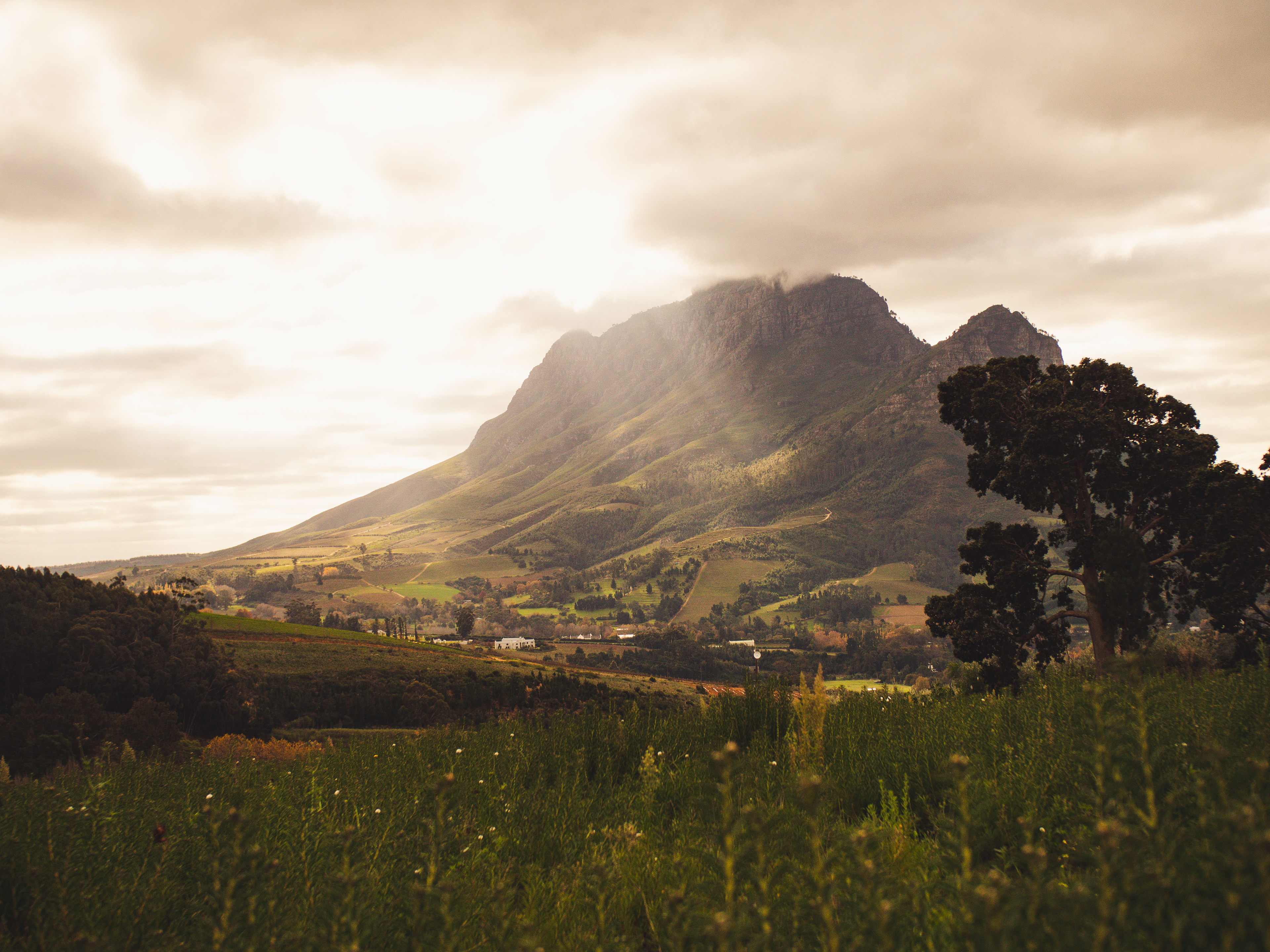 Stellenbosh, South Africa