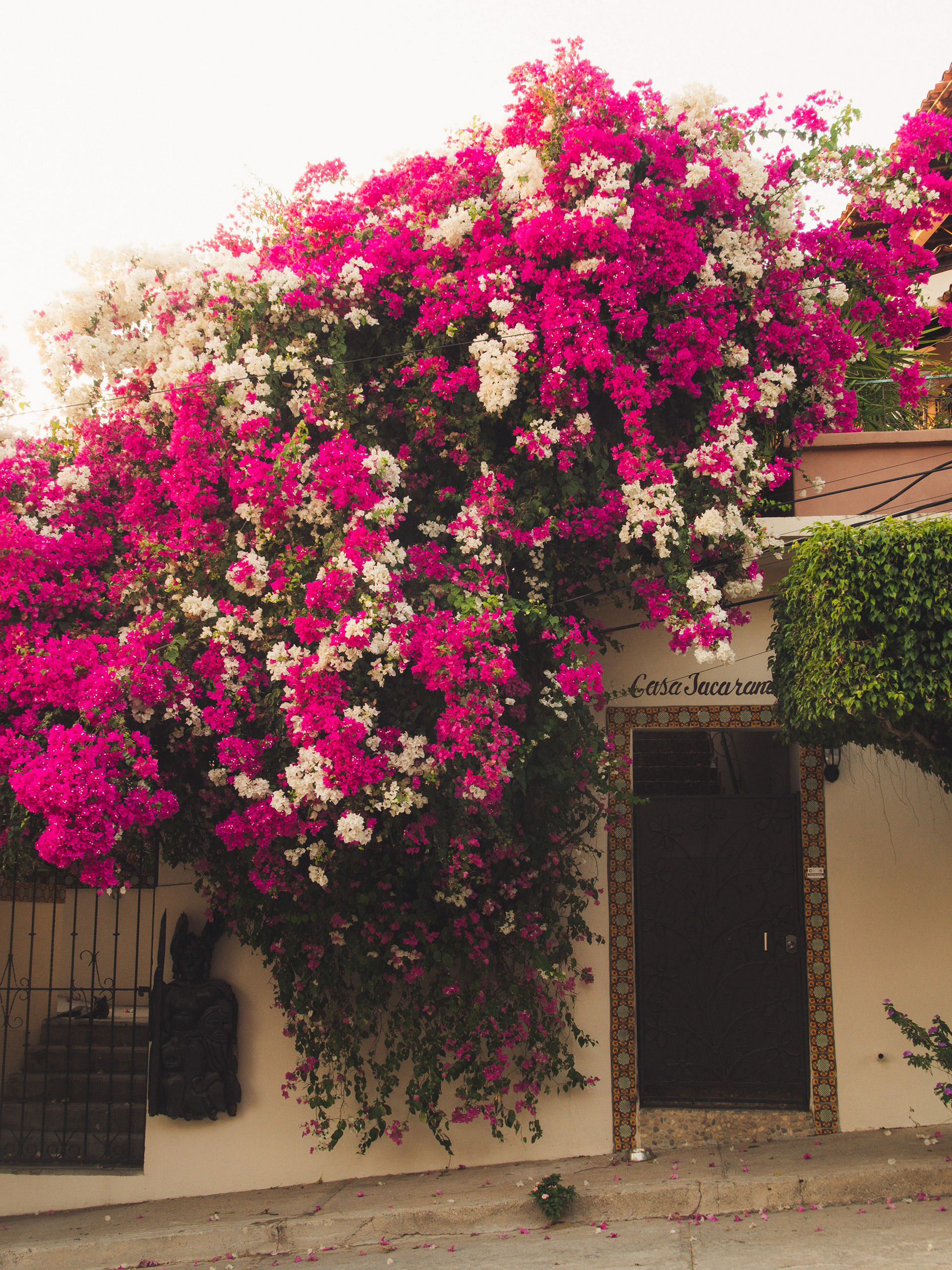 Mexico, Puerto Escondido