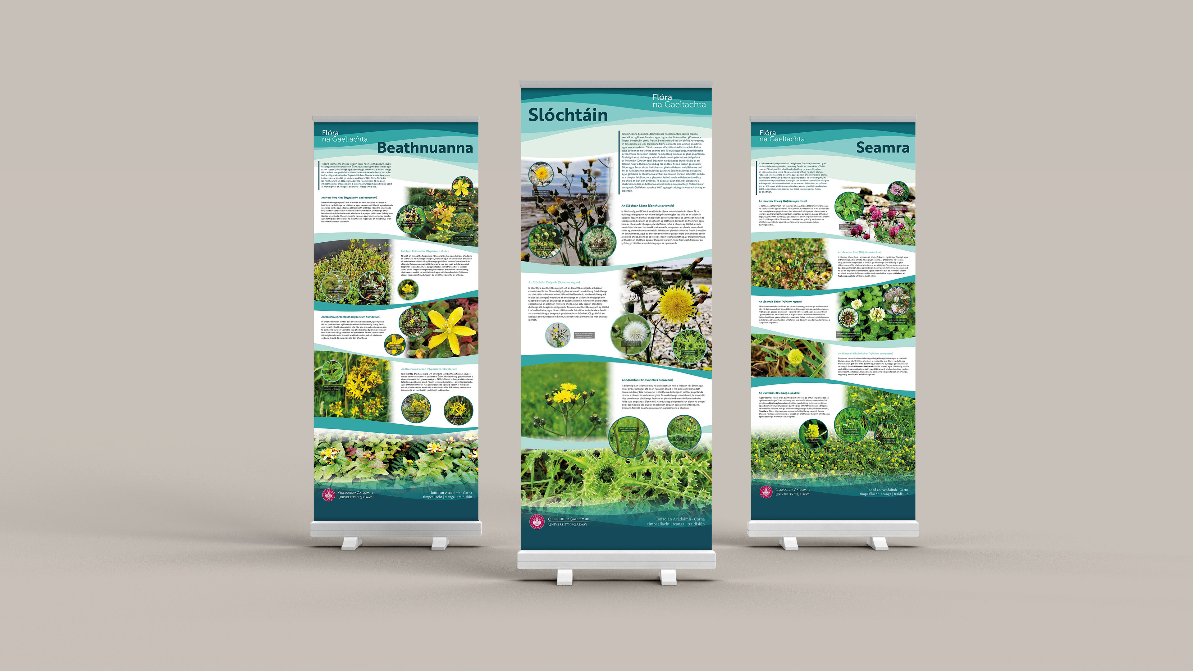 This image shows three upright information panels in a line. They are covered with photographs of wildflowers and text information, laid out in an organic but clear design style. The wildflowers on these panels are mostly yellow.