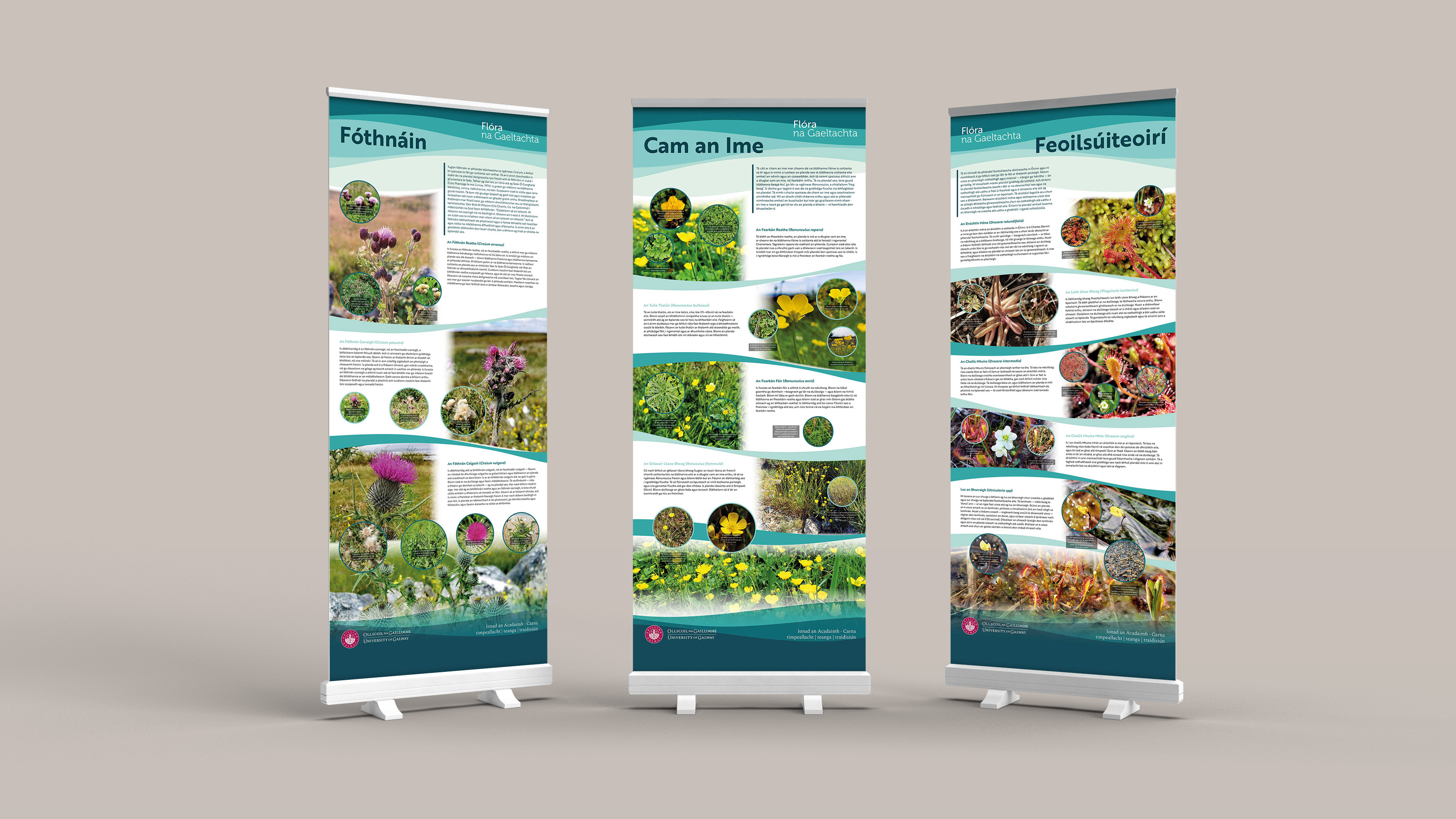 This image shows three upright information panels in a line. They are covered with photographs of wildflowers and text information, laid out in an organic but clear design style.