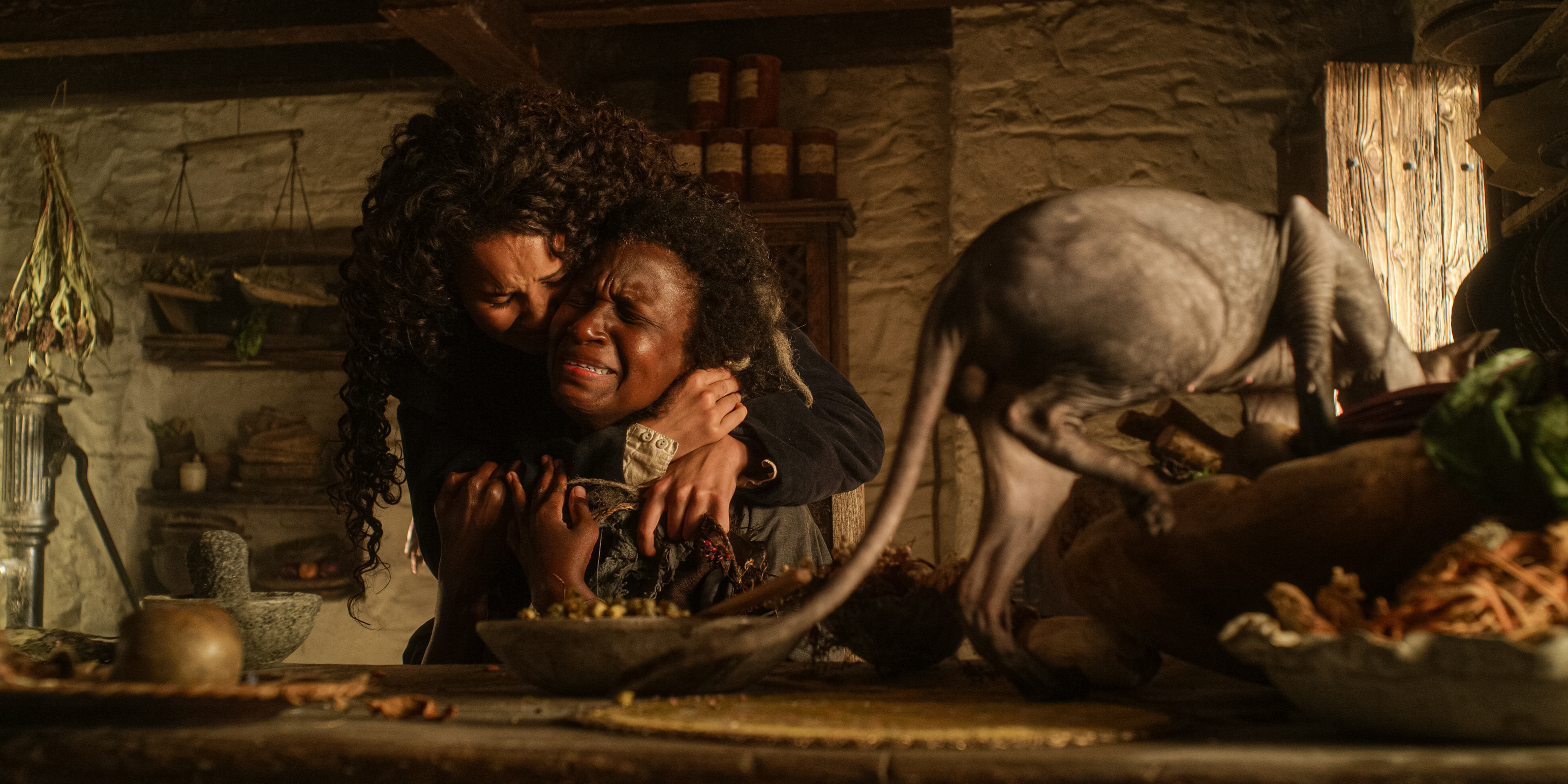 GAVALDON - SOPHIE'S HOUSE