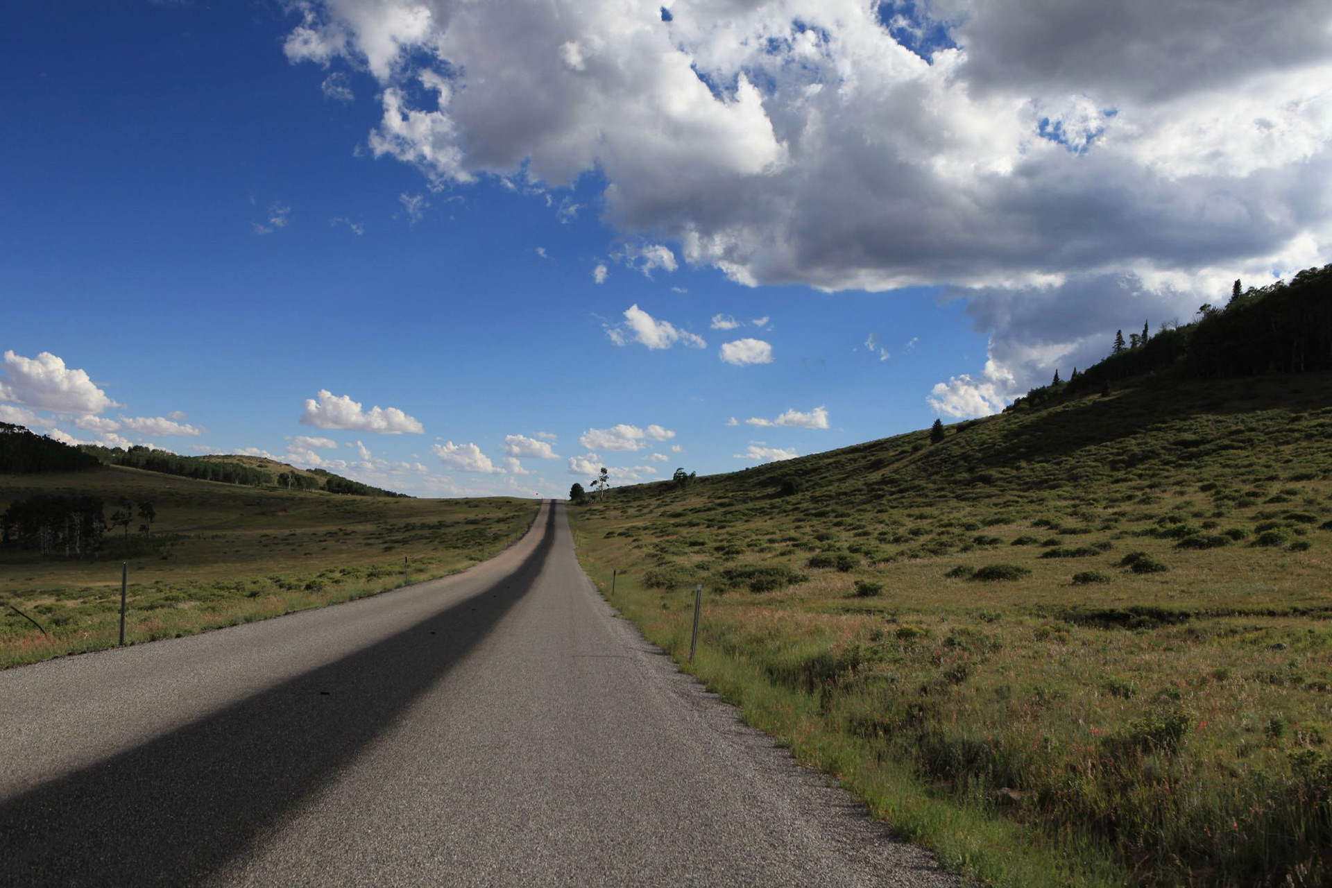 COLORADO