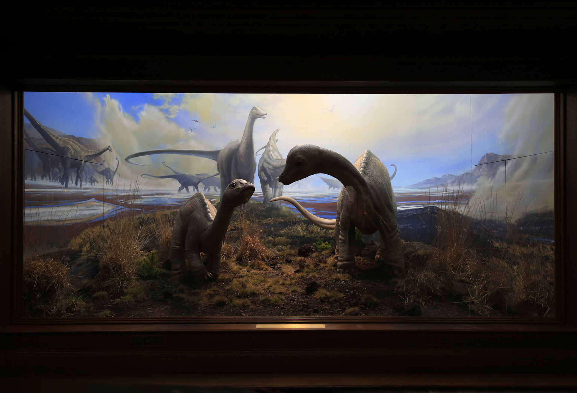 LOCKWOOD HOUSE - DIORAMA ROOM - JEUVANILE DIPLODOCUS!