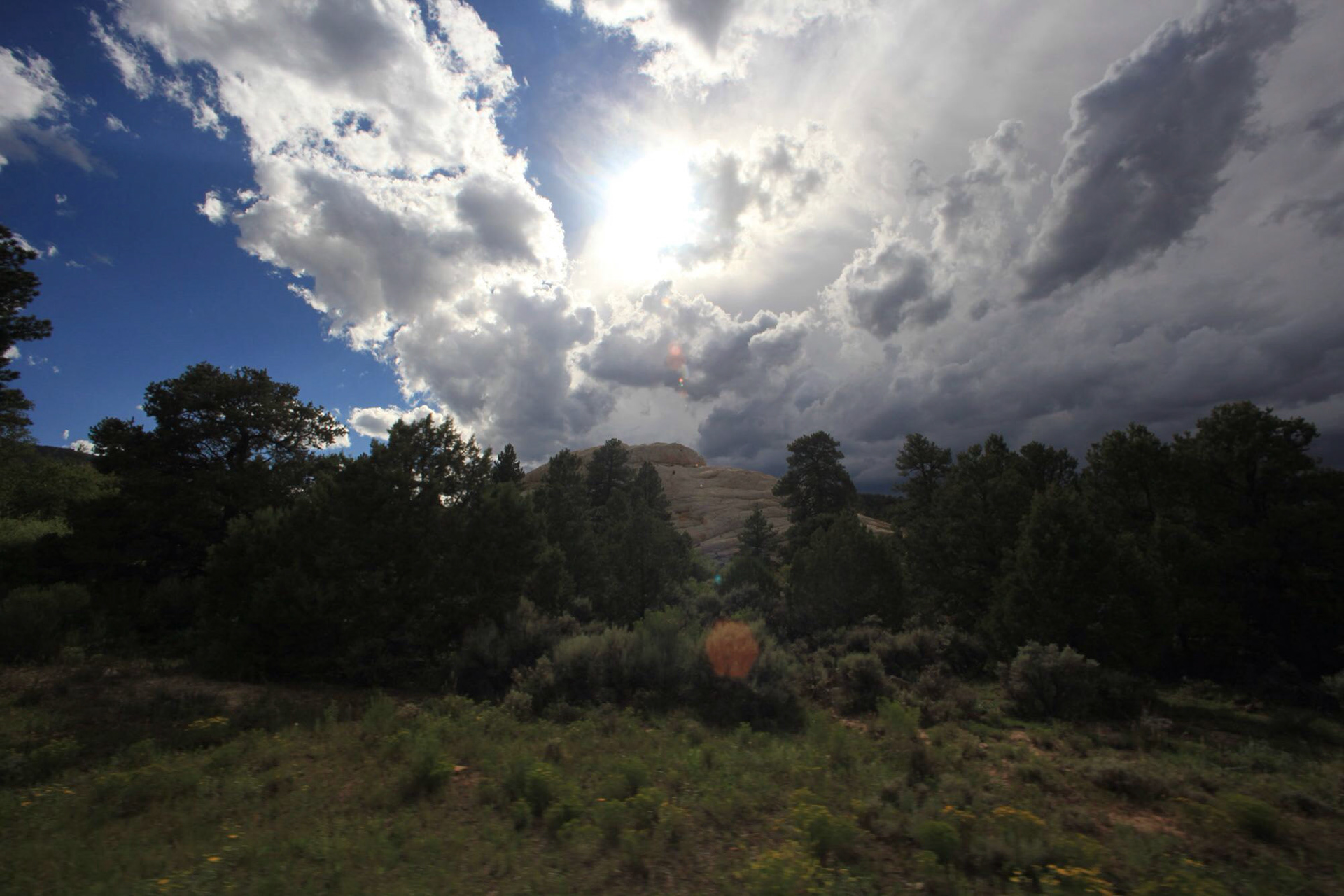 COLORADO