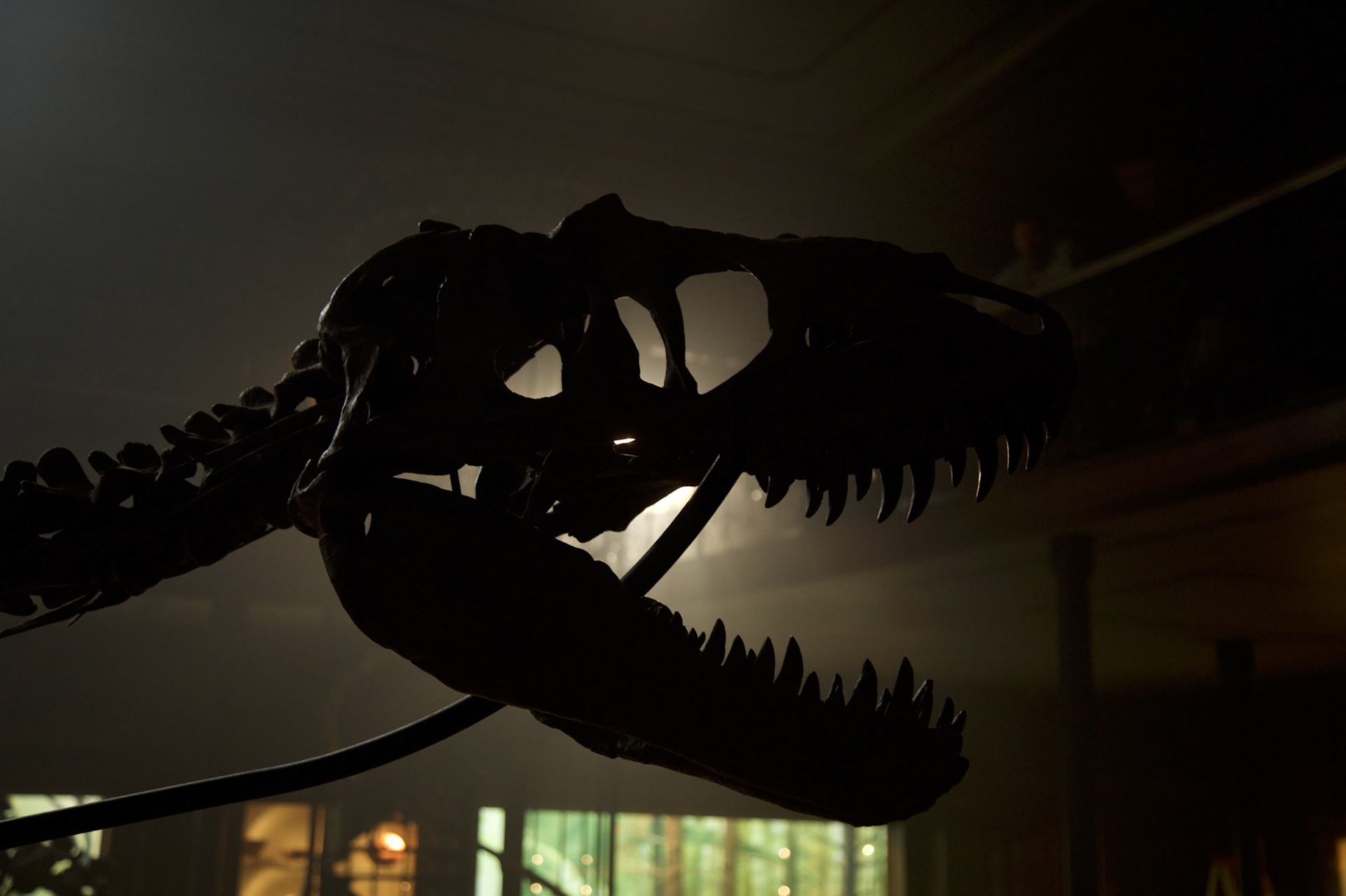 LOCKWOOD HOUSE - DIORAMA ROOM