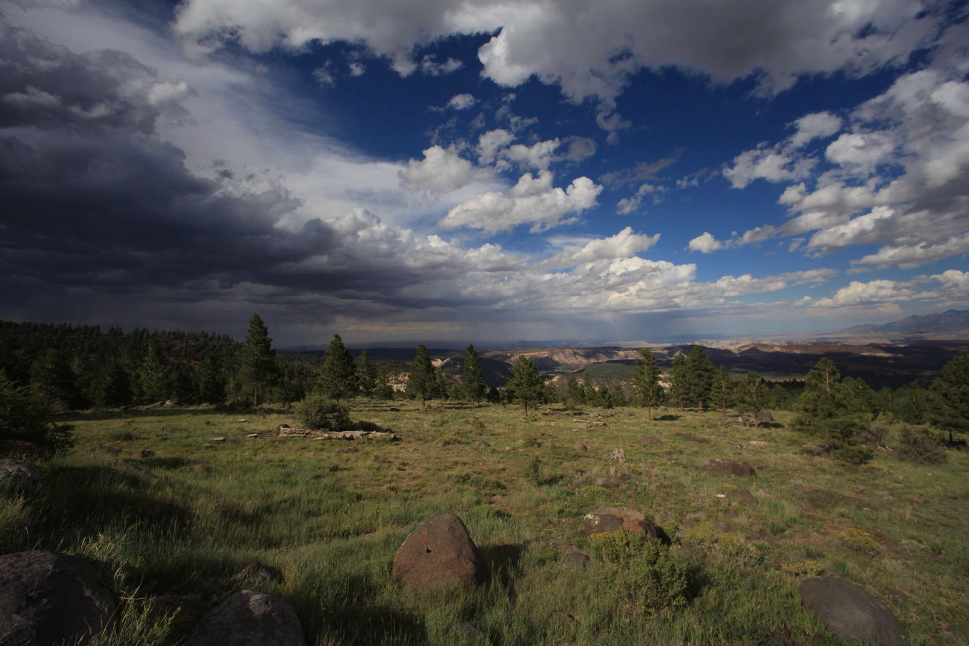 COLORADO