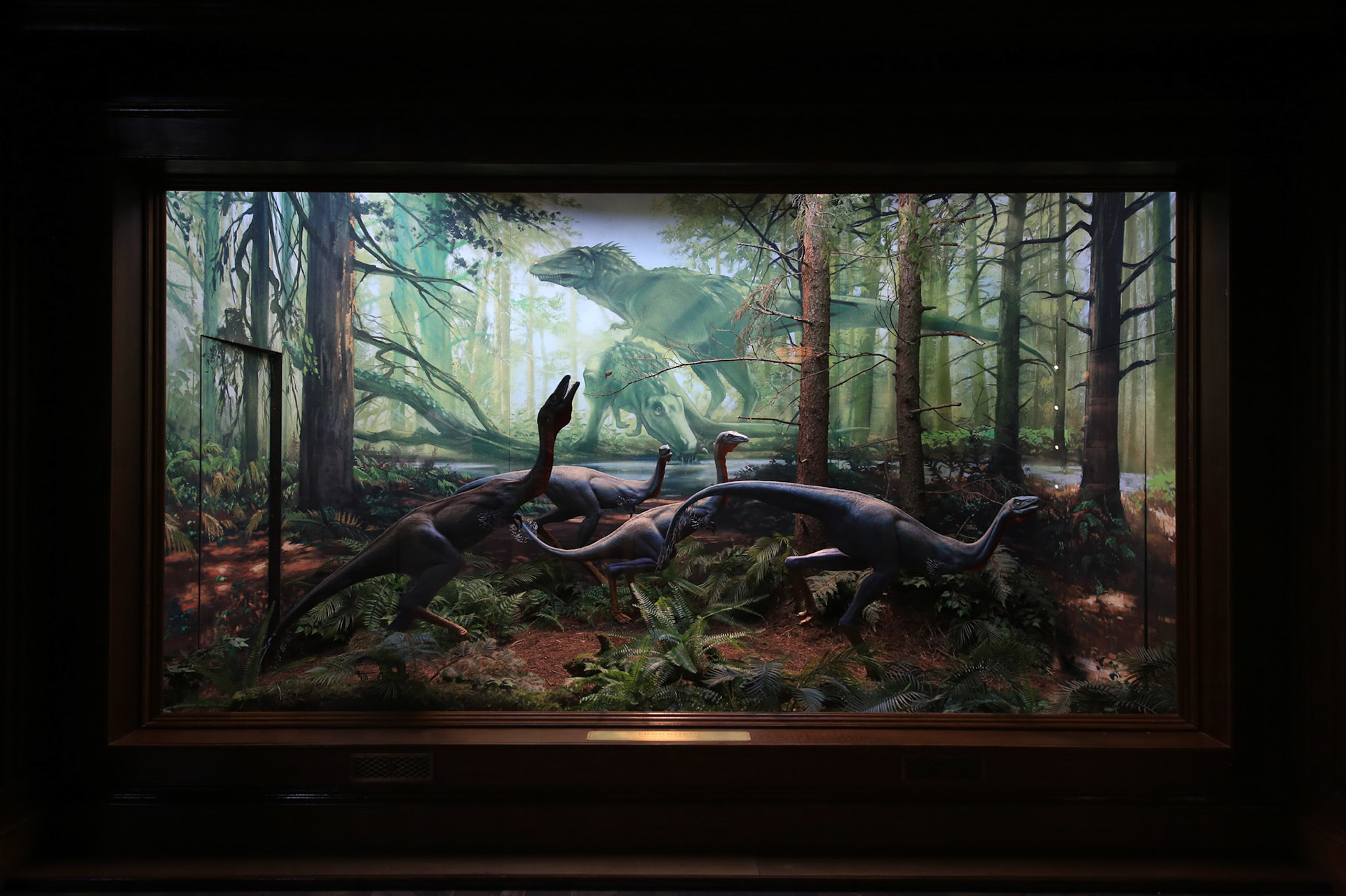 LOCKWOOD HOUSE - DIORAMA ROOM - MONONYKYS FLOCK!