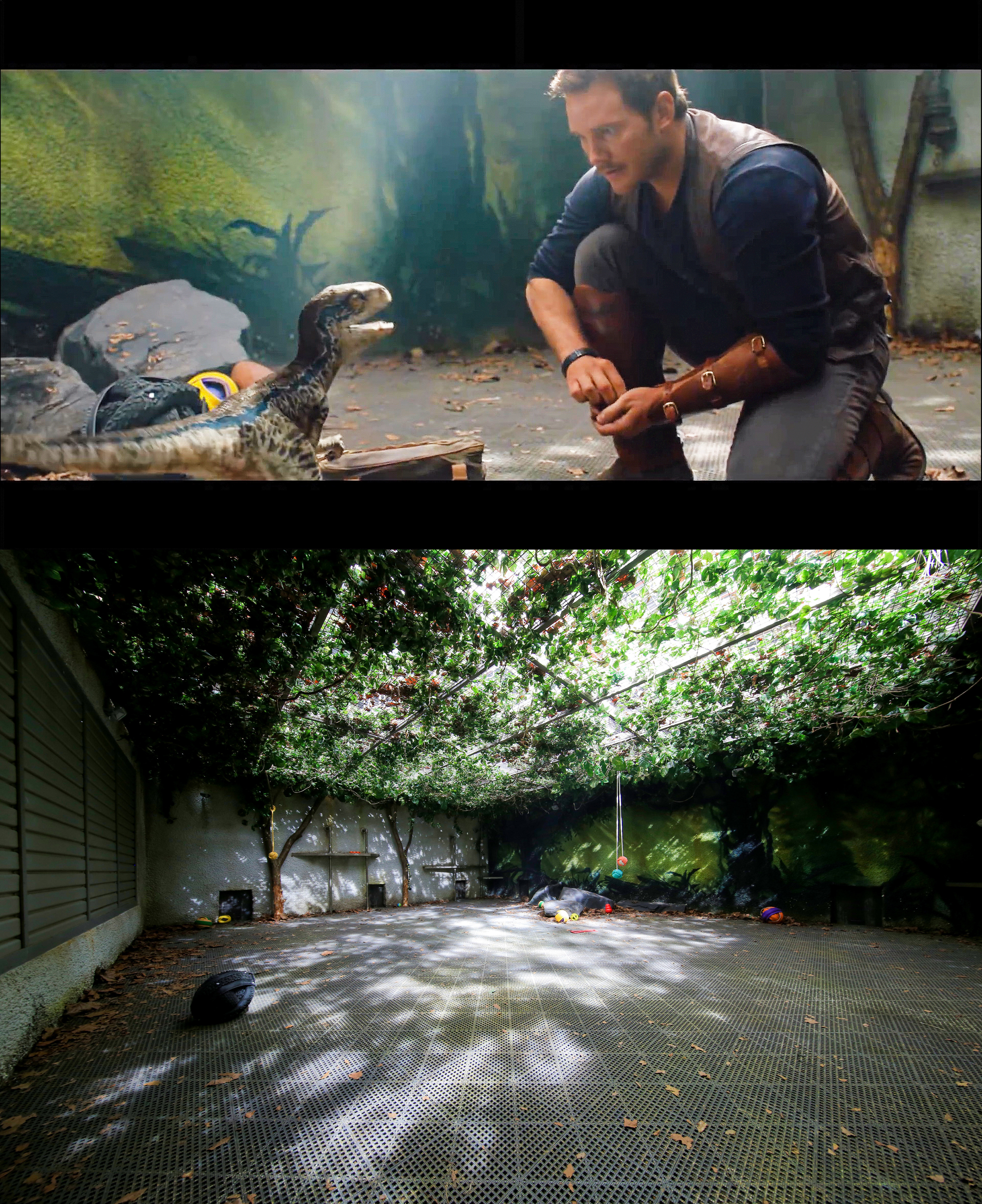 FLASHBACK - BABY RAPTOR PEN