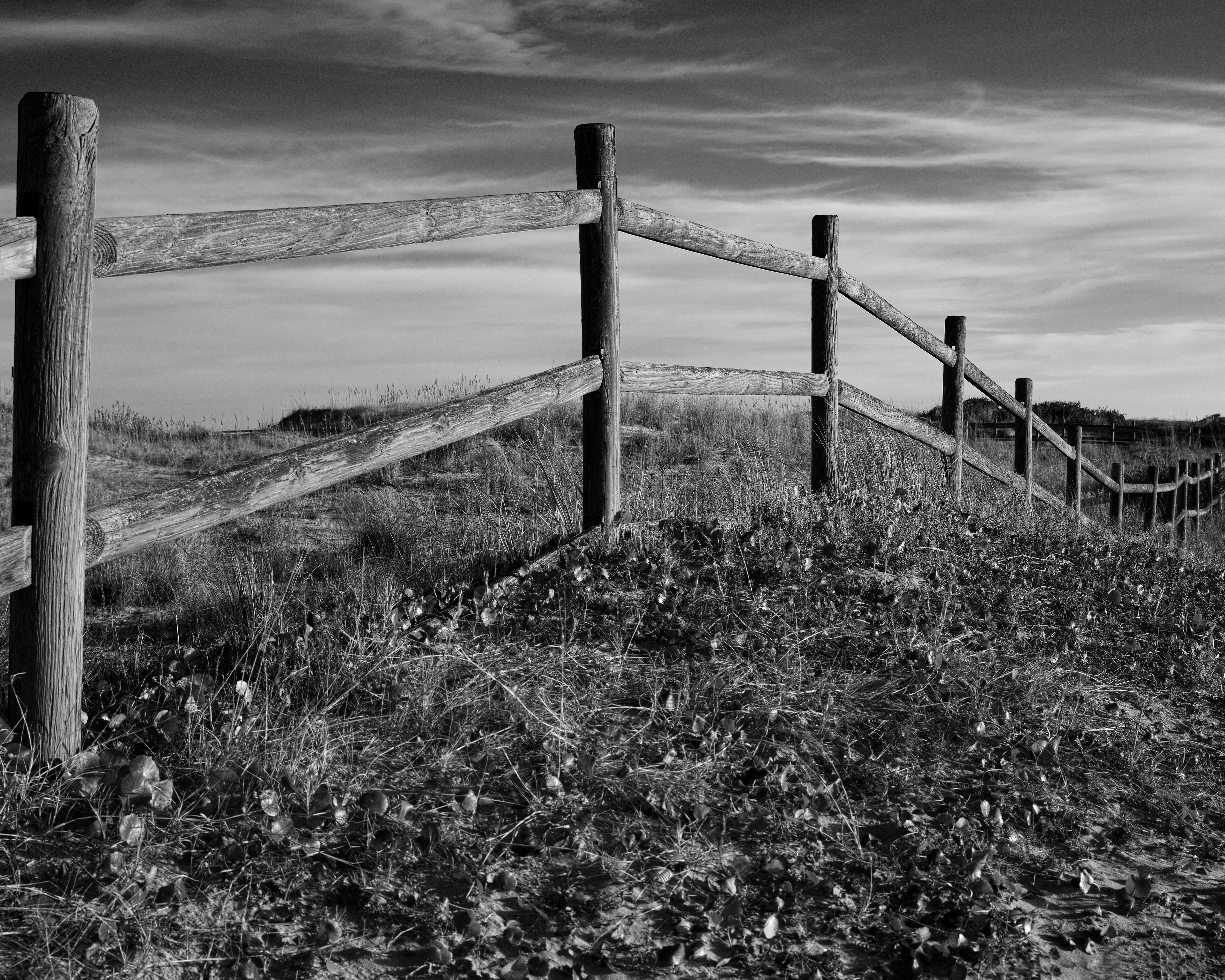 Fence Line