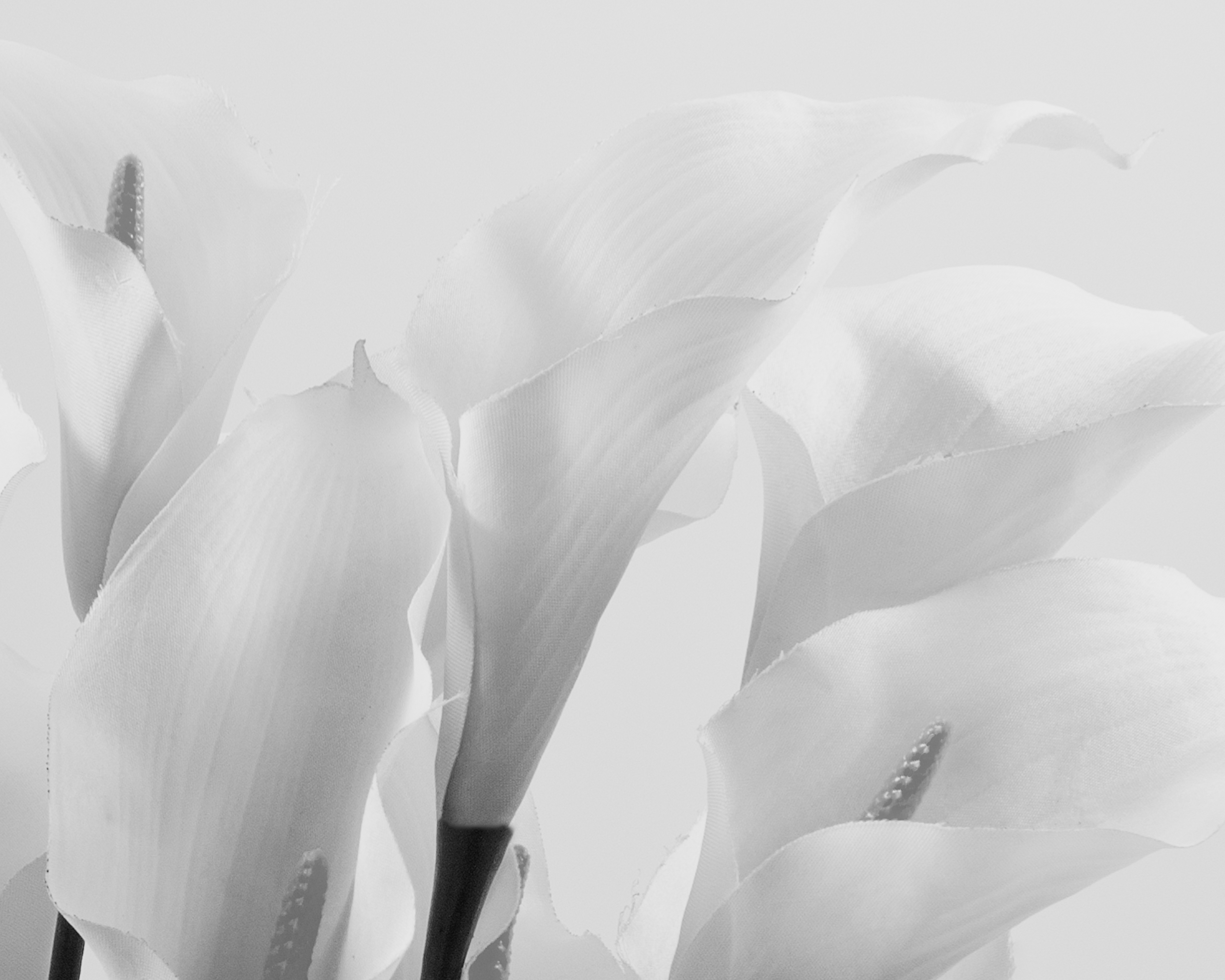 Silk