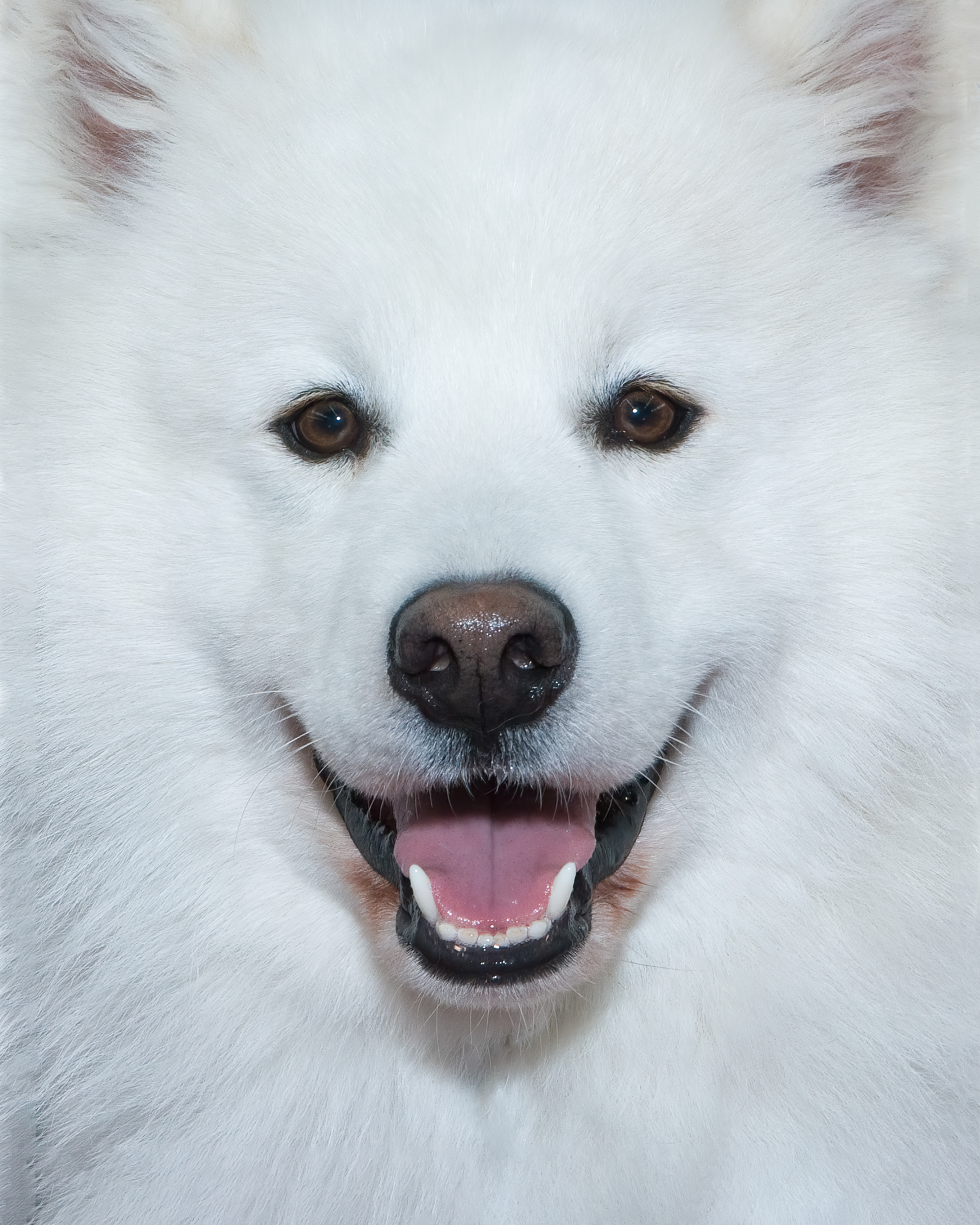 Smilin' Samy