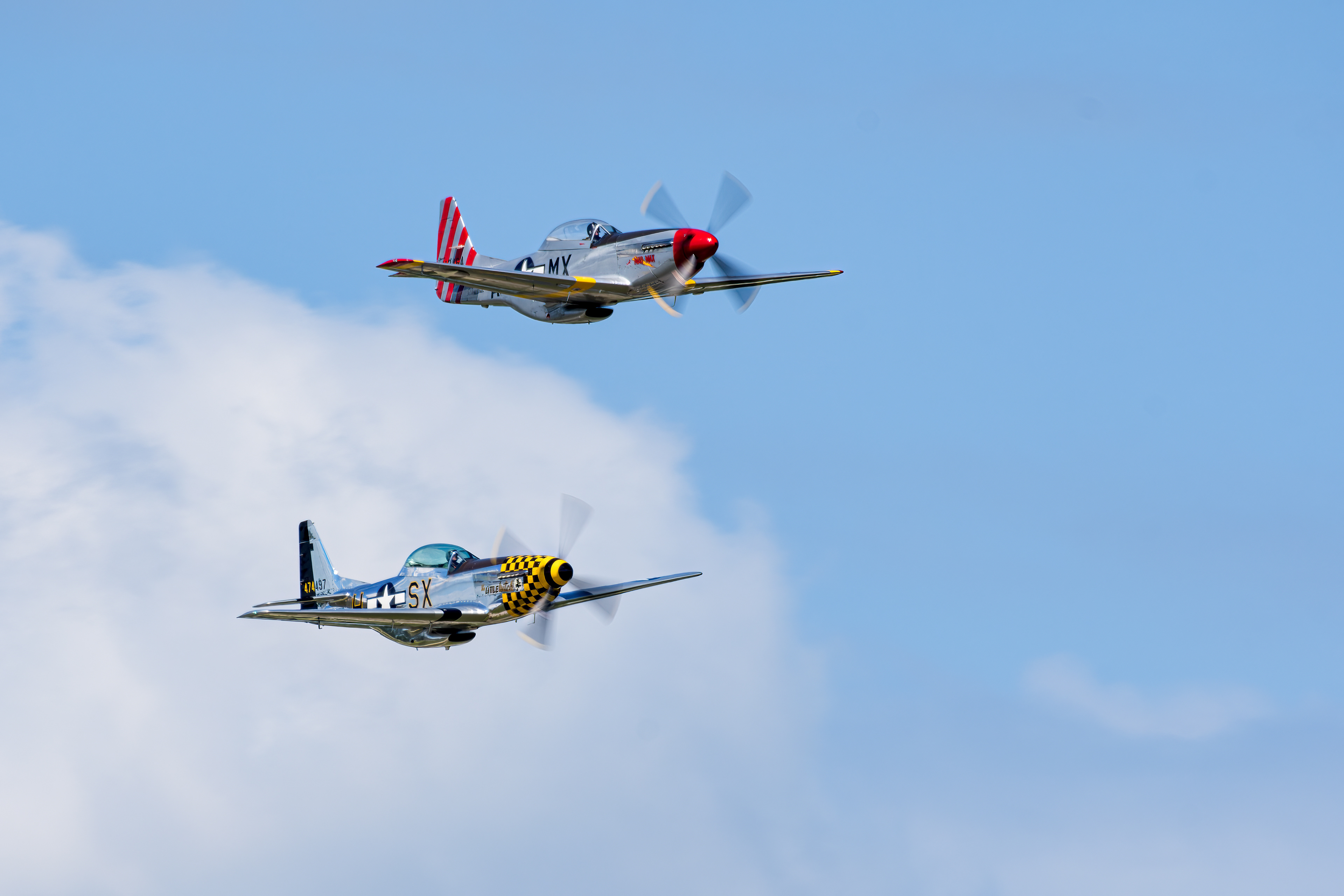 P51D Mustang L2023-39