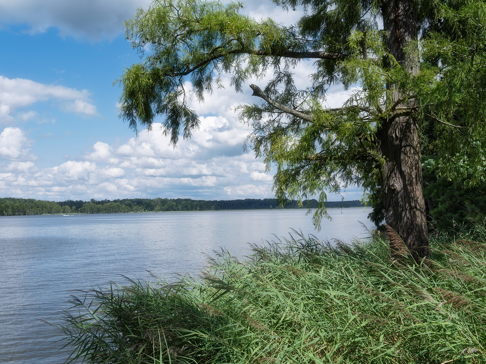 Chickahominy River Park 3