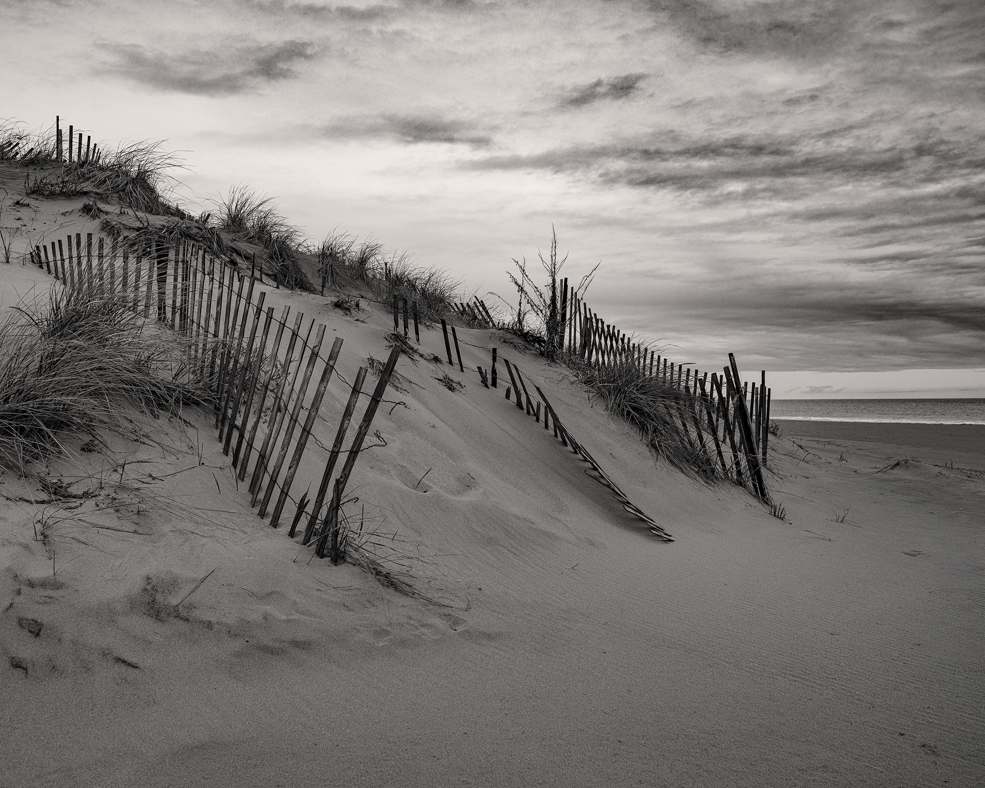 Beach Fence