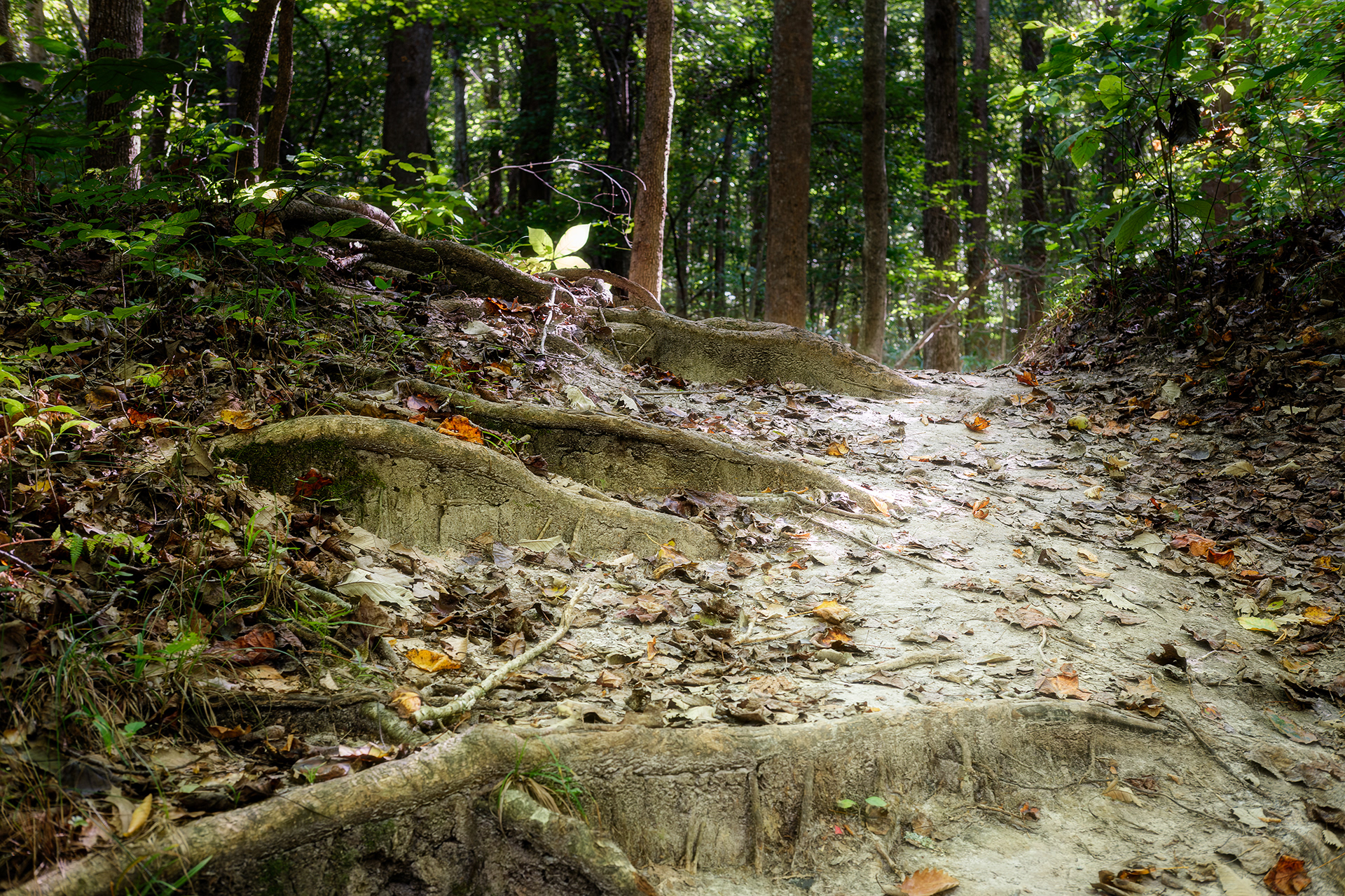 Natural Steps