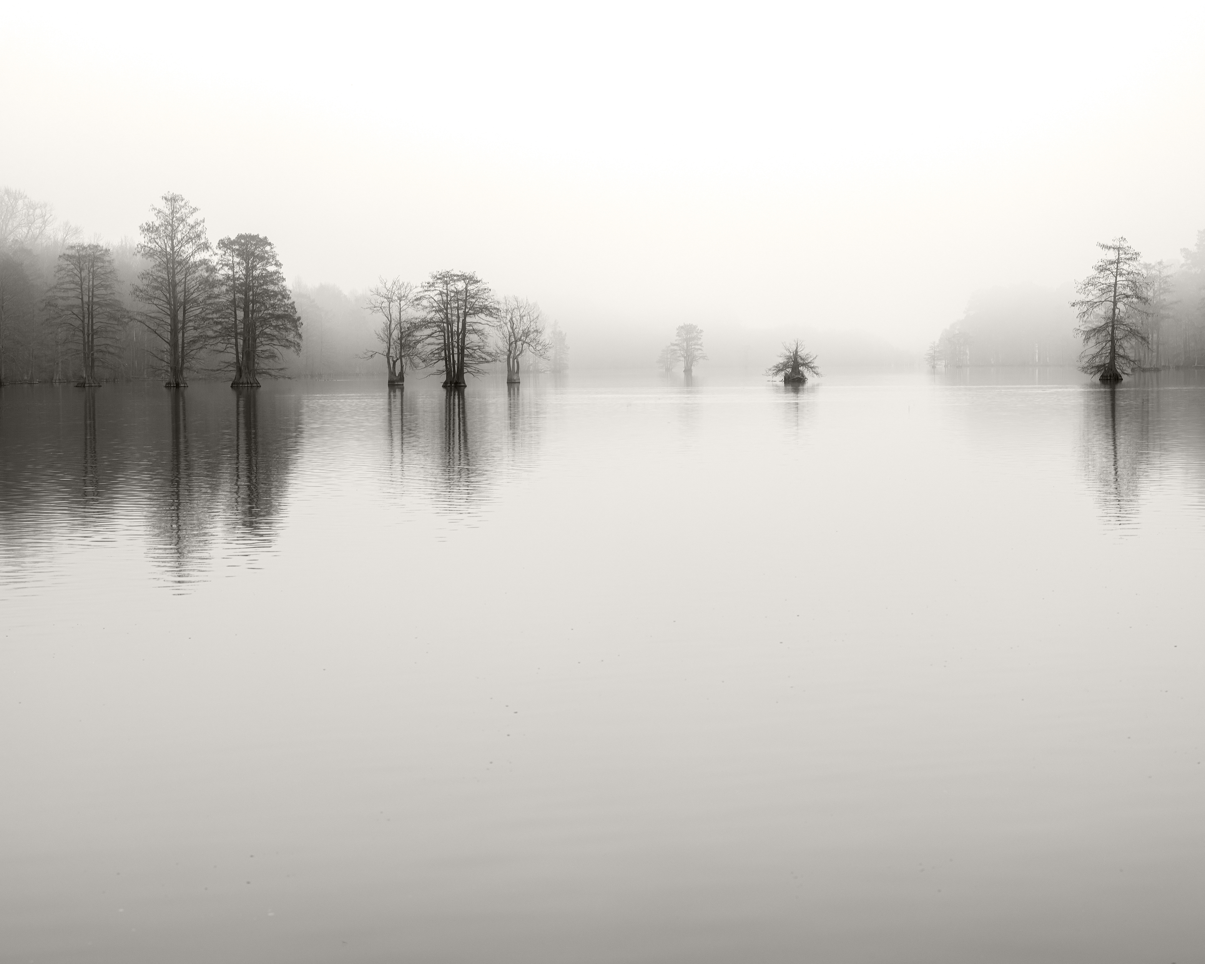 Morning Fog