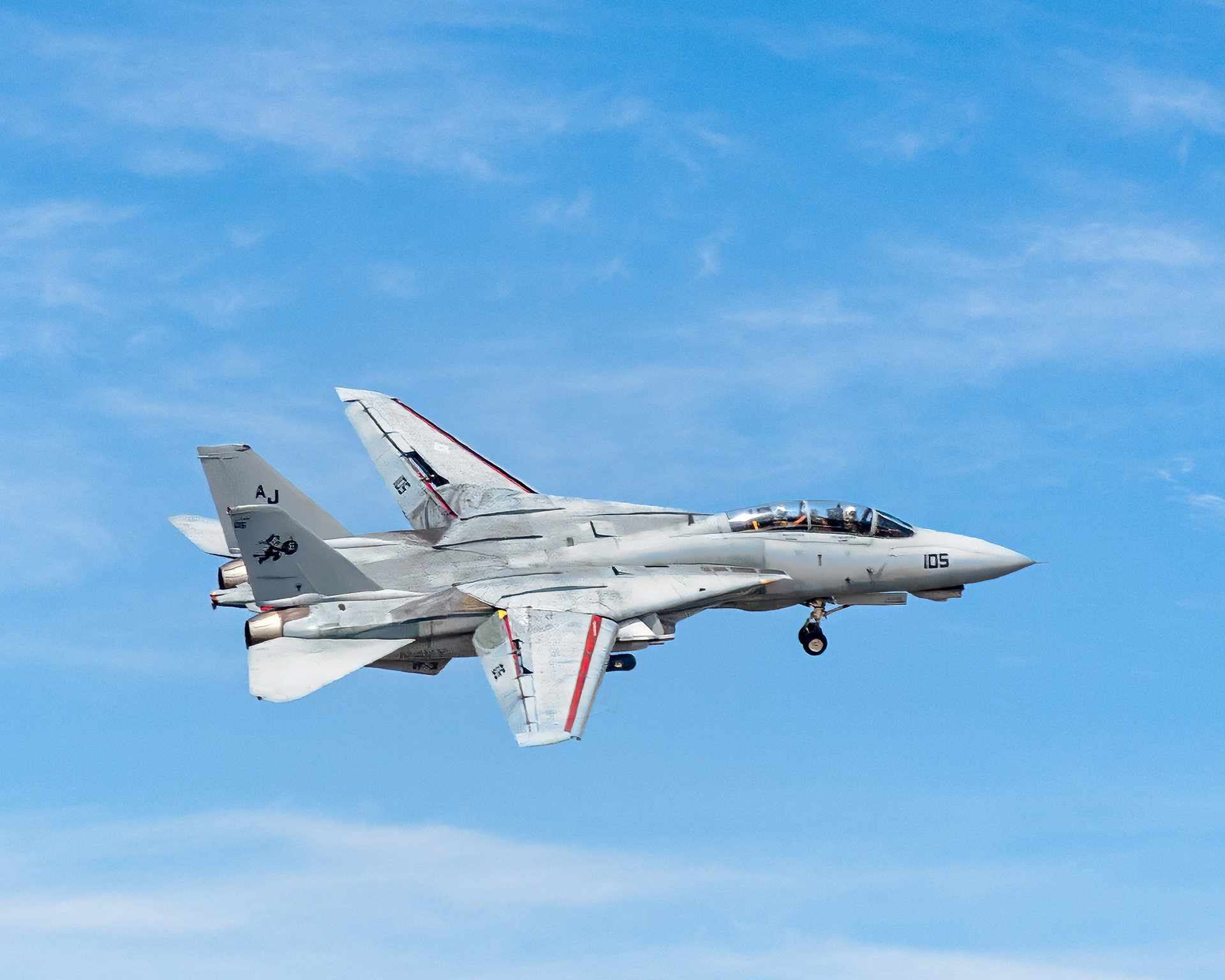 F14 Tom cat O2006