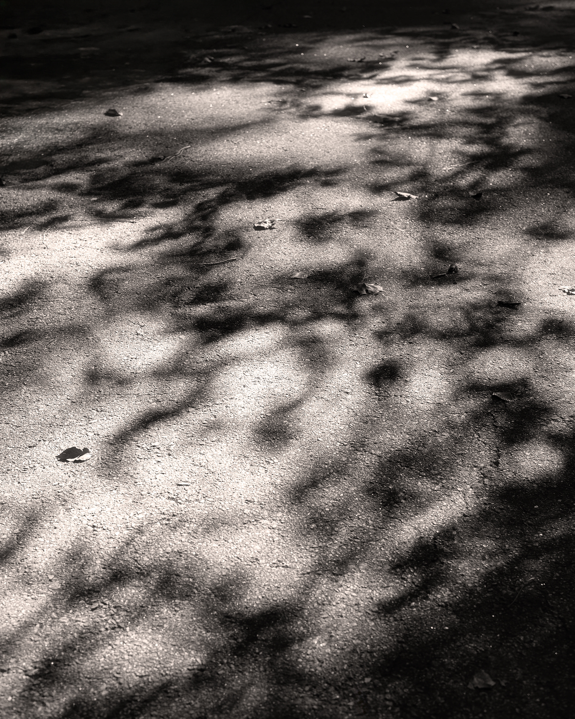Shadows