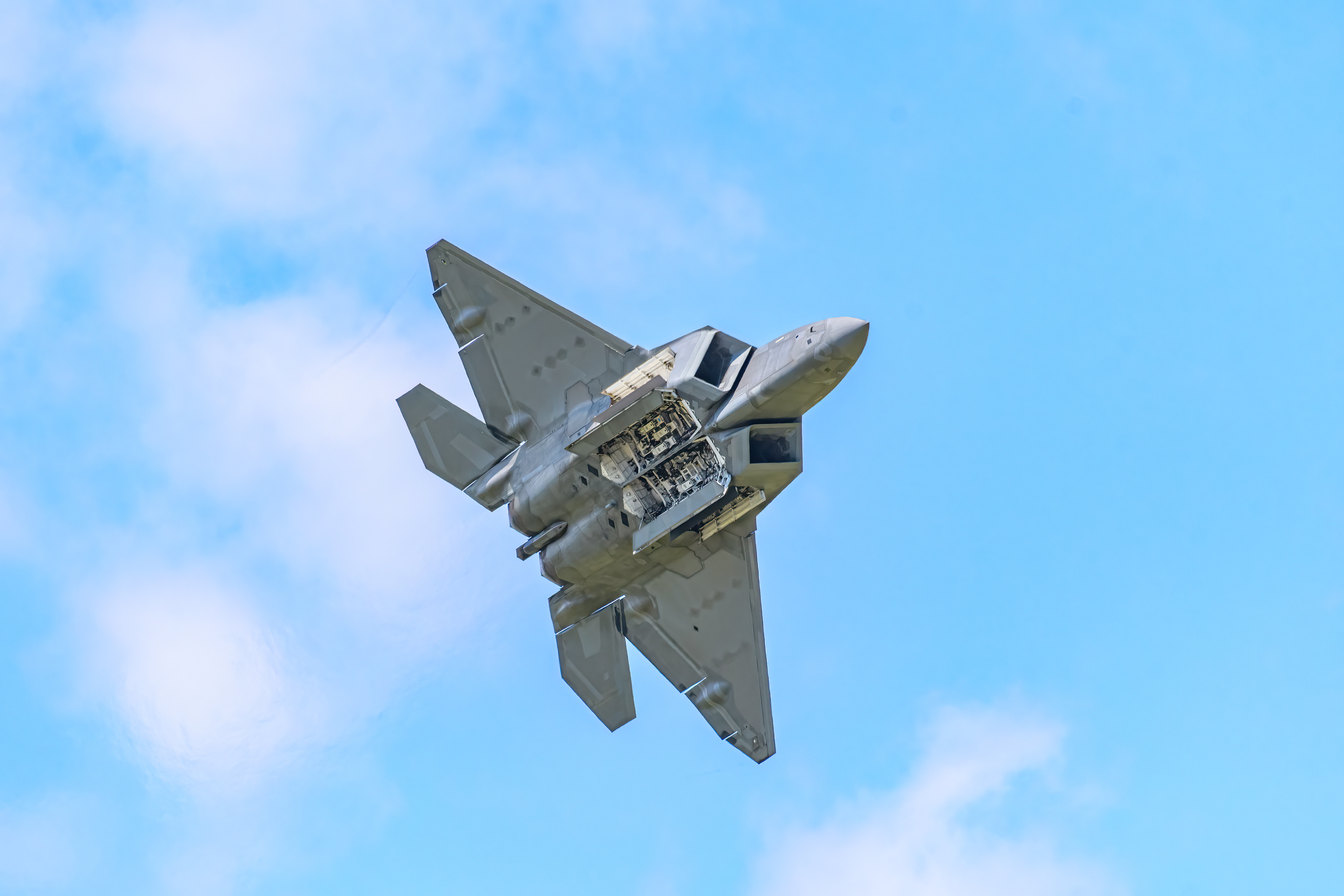F22 Raptor L2023-119