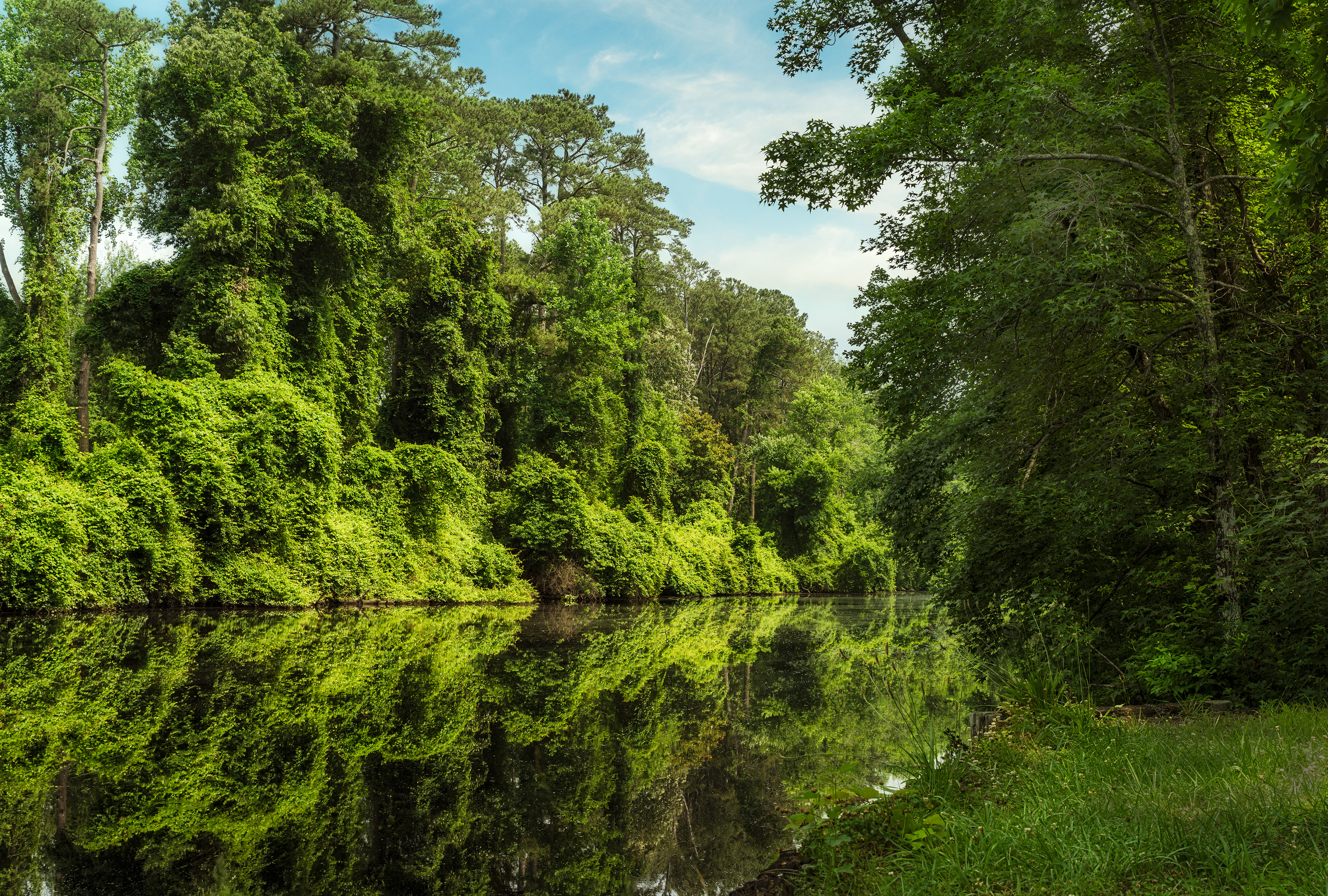Dismal Swamp canal