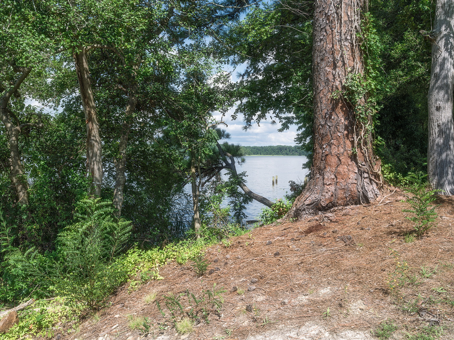 Chickahominy River Park 2