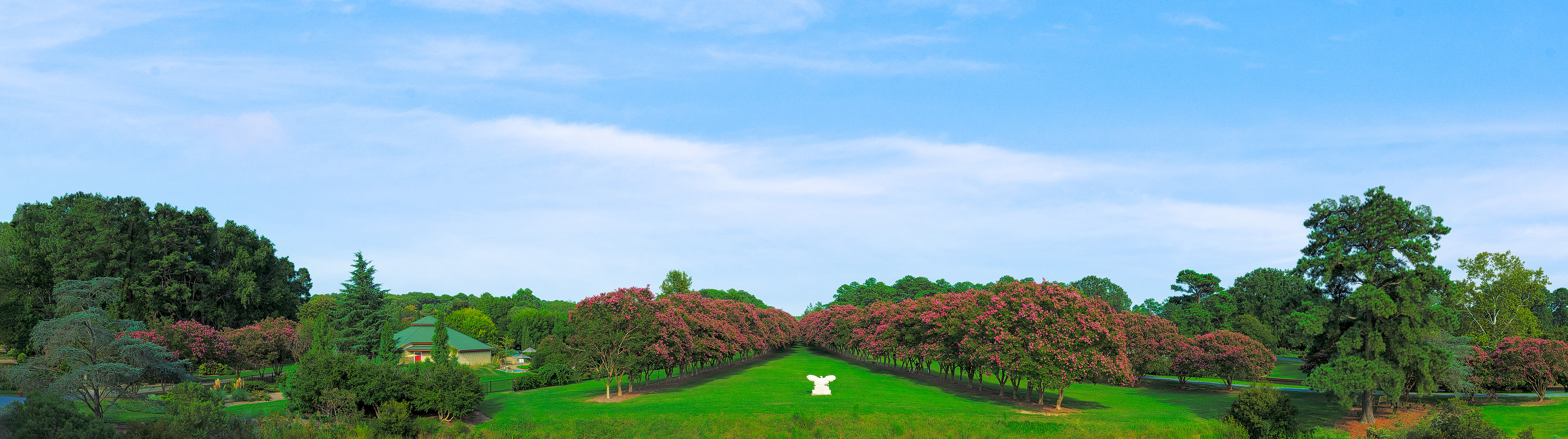 Crete Myrtle Walk
