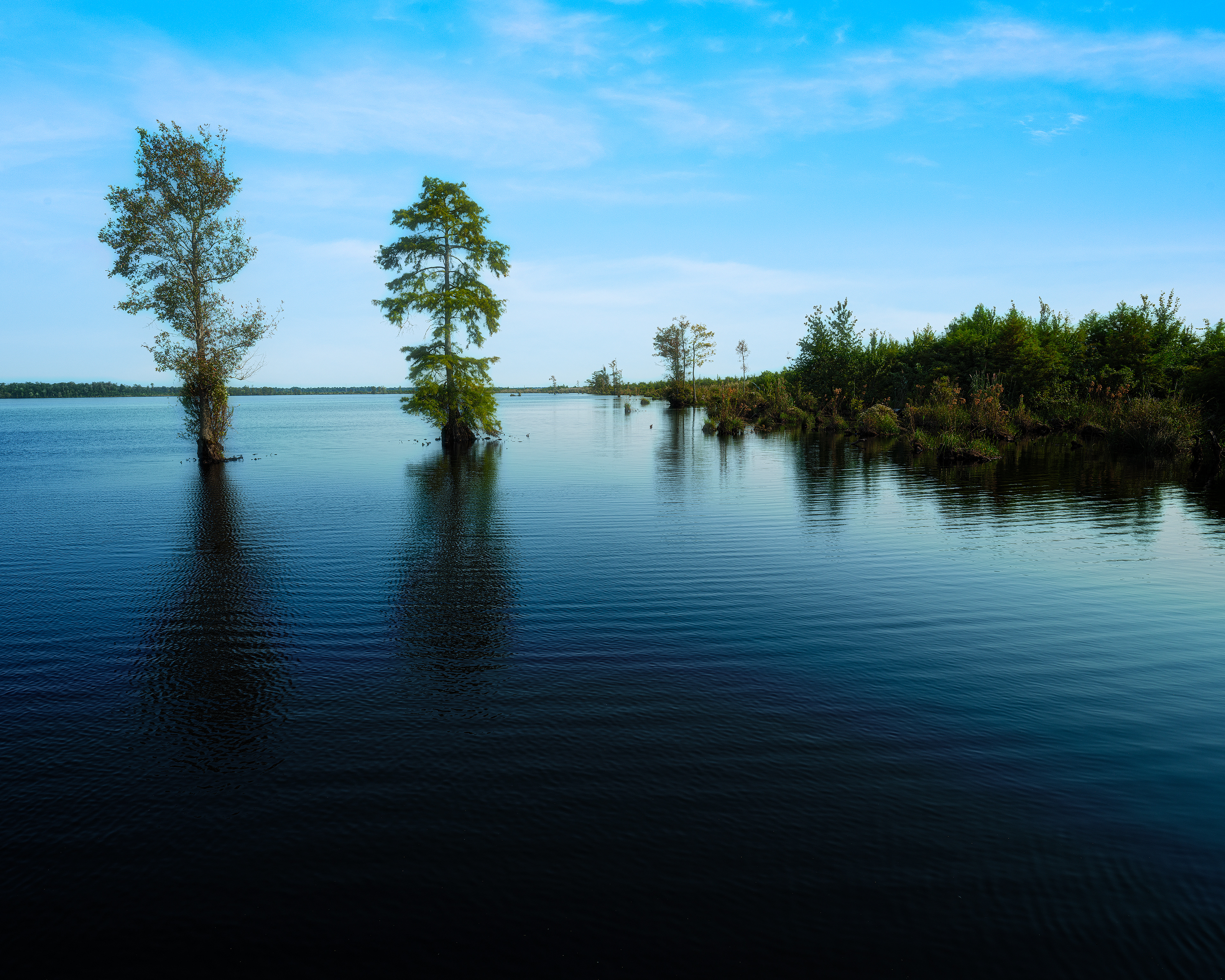 Lake Drummond