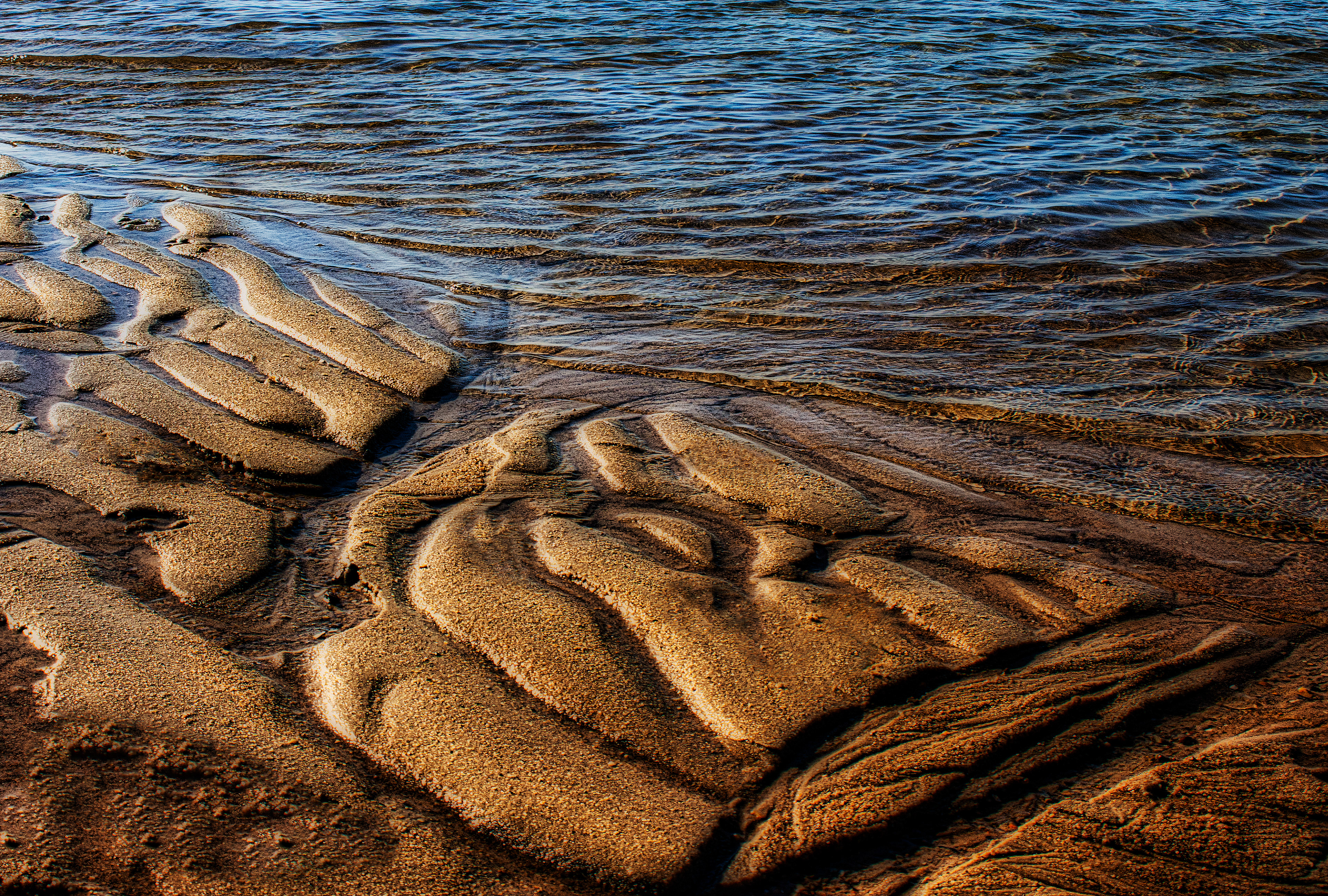 Sea Tracks