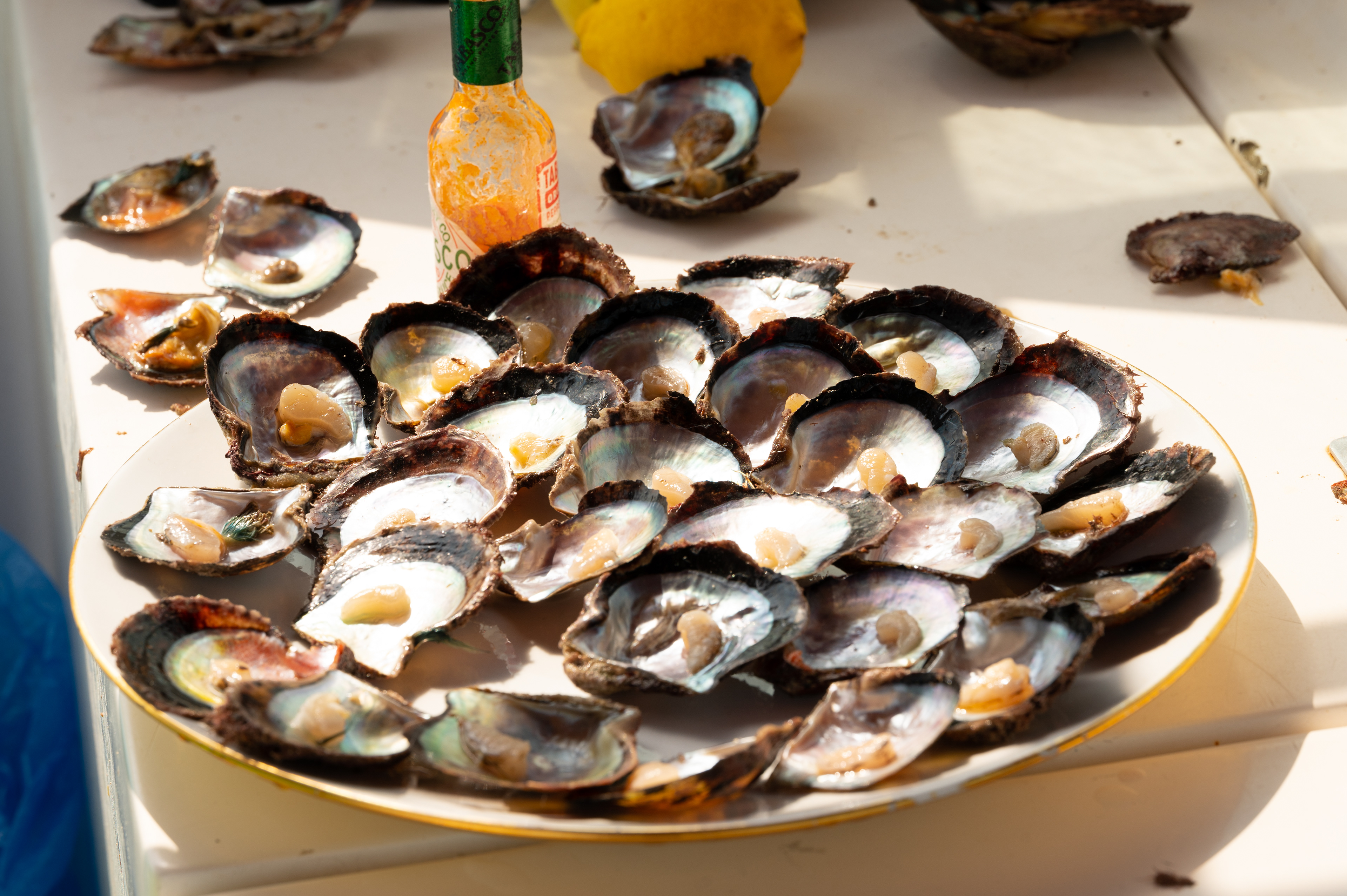 Most of the oysters without pearls are cast back into the ocean for the fish, and some are set aside for breakfast.
