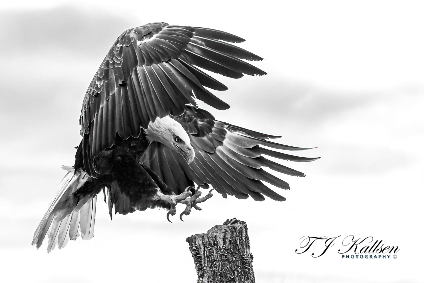 The Eagle is Landing